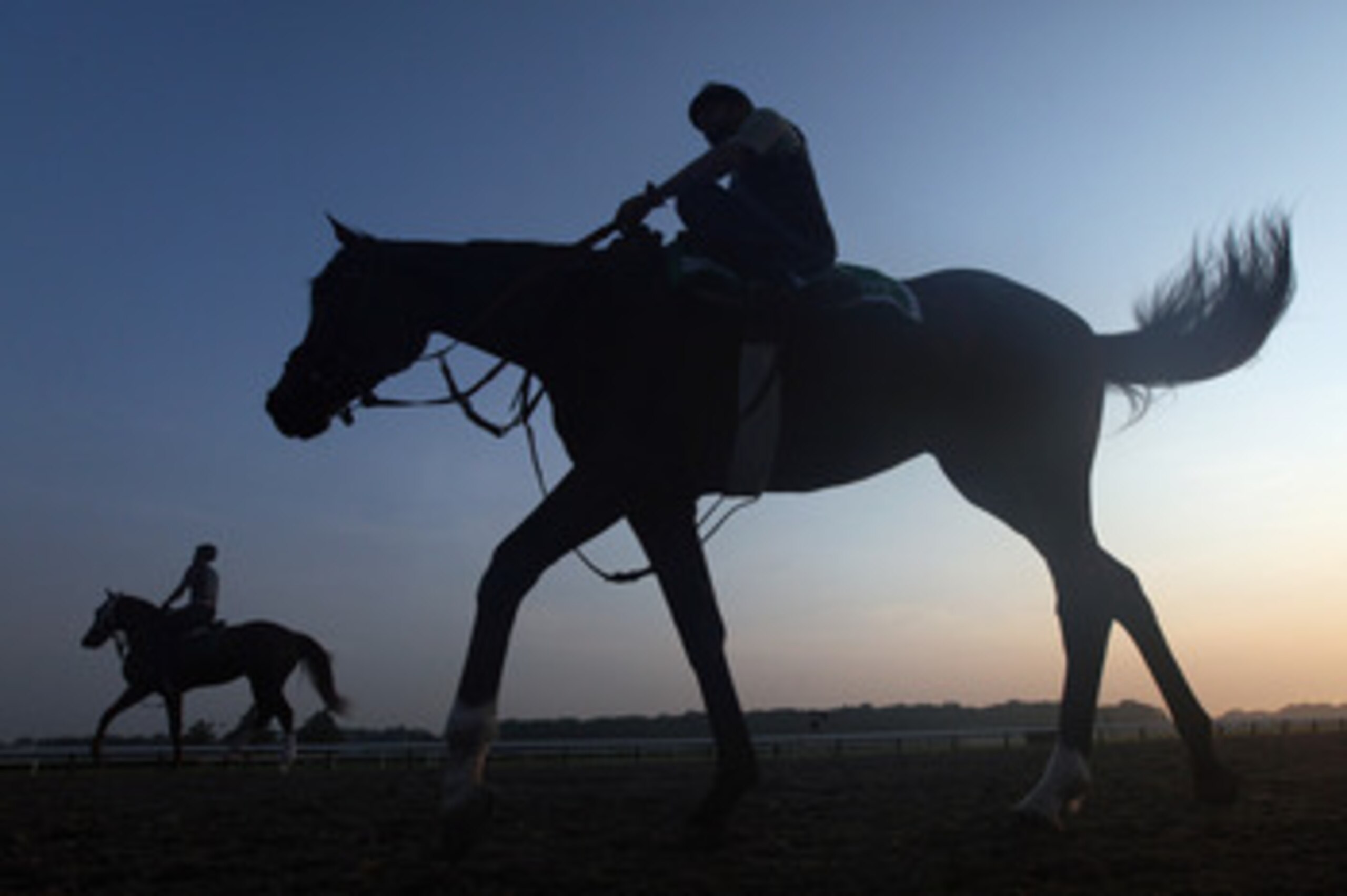 ELMONT, NY - JUNE 10:  Exercise rider Dane Noel takes Prime Cut (R) for a morning training session in preparation for the 143rd running of The Belmont Stakes at Belmont Park on June 10, 2011 in Elmont, New York.  (Photo by Rob Carr/Getty Images)
