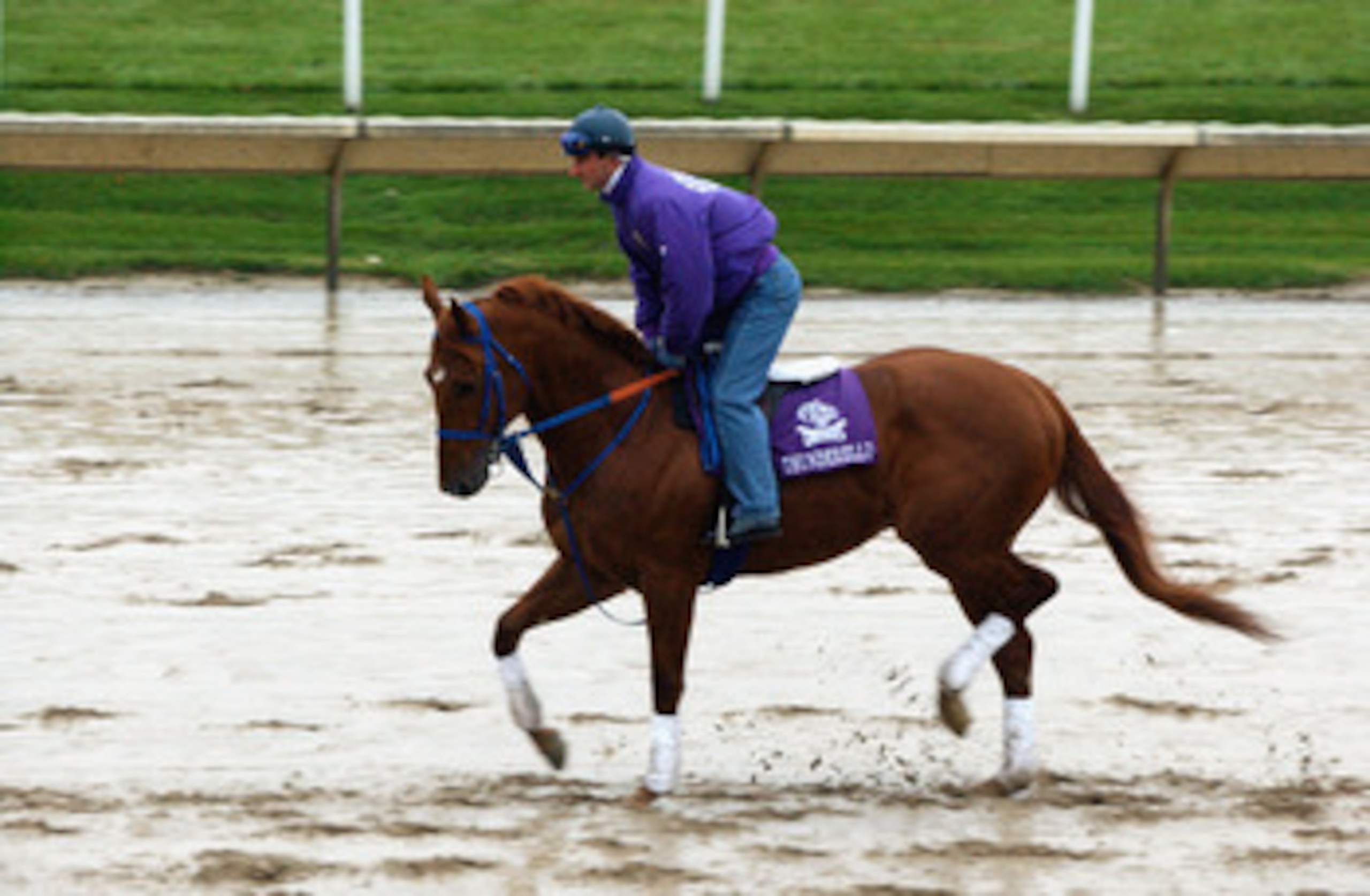 ARLINGTON HEIGHTS, IL - OCTOBER 25: Extremely wet and sloppy conditions on the track greet Thunderello, a horse entered in the Napa Breeders' Cup Sprint race at Arlington Park during early morning workouts for the 2002 Breeders' Cup World Thoroughbred Ch ARLINGTON HEIGHTS, IL - OCTOBER 25: Extremely wet and sloppy conditions on the track greet Thunderello, a horse entered in the Napa Breeders' Cup Sprint race at Arlington Park during early morning workouts for the 2002 Breeders' Cup World Thoroughbred Ch