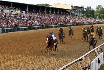 BALTIMORE, MD - MAY 21:  Jockey Jesus Castanon guides Shackleford #5 (C) to victory over Animal Kingdom and jocky John Velazquez #11 (L) and Astrology with jockey Mike Smith #1 (R) to win the 136th running of the Preakness Stakes at Pimlico Race Course on