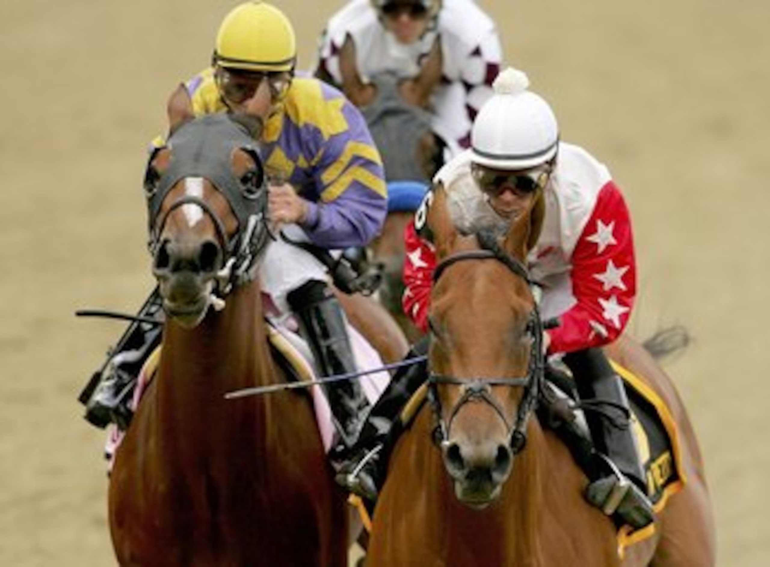 BALTIMORE - MAY 19: Saratoga Drive #8, ridden by Javier Castellano and Smart N Pretty #6, ridden by Richard Migliore lead the pack down the front stretch of the Black-Eyed Susan during the Pimlico Special at Pimlico Race Course May 19, 2006 in Baltimore, BALTIMORE - MAY 19: Saratoga Drive #8, ridden by Javier Castellano and Smart N Pretty #6, ridden by Richard Migliore lead the pack down the front stretch of the Black-Eyed Susan during the Pimlico Special at Pimlico Race Course May 19, 2006 in Baltimore,