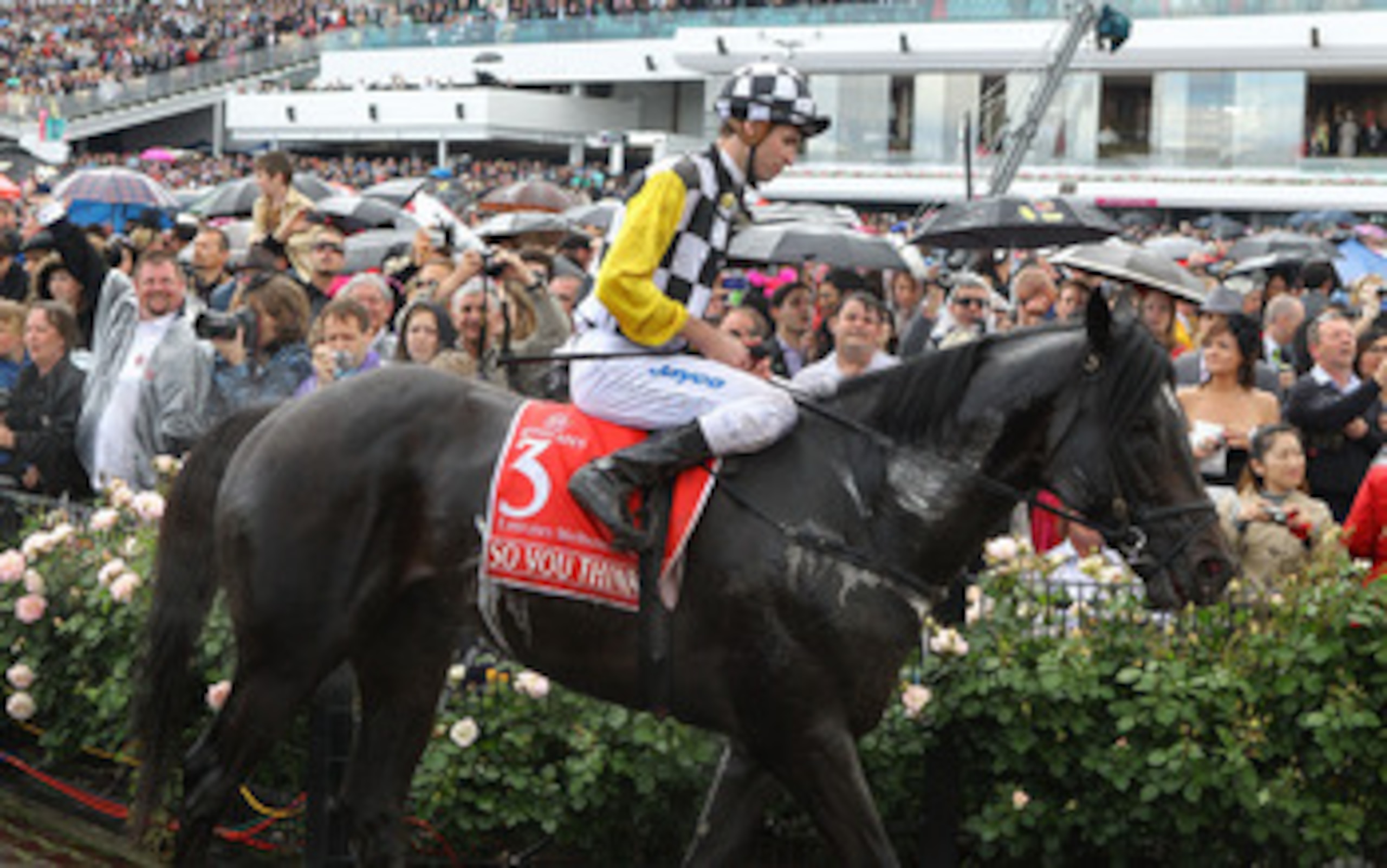 MELBOURNE, AUSTRALIA - NOVEMBER 02: Jockey Steven Arnold riding So You Think returns to the parade ring after race seven the Emirates Melbourne Cup during Melbourne Cup Day at Flemington Racecourse on November 2, 2010 in Melbourne, Australia. (Photo by MELBOURNE, AUSTRALIA - NOVEMBER 02: Jockey Steven Arnold riding So You Think returns to the parade ring after race seven the Emirates Melbourne Cup during Melbourne Cup Day at Flemington Racecourse on November 2, 2010 in Melbourne, Australia. (Photo by