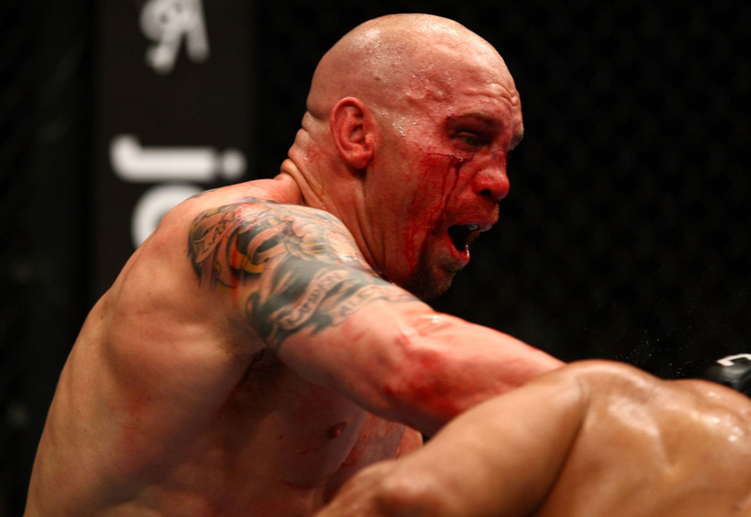 Credit: UFC.com
