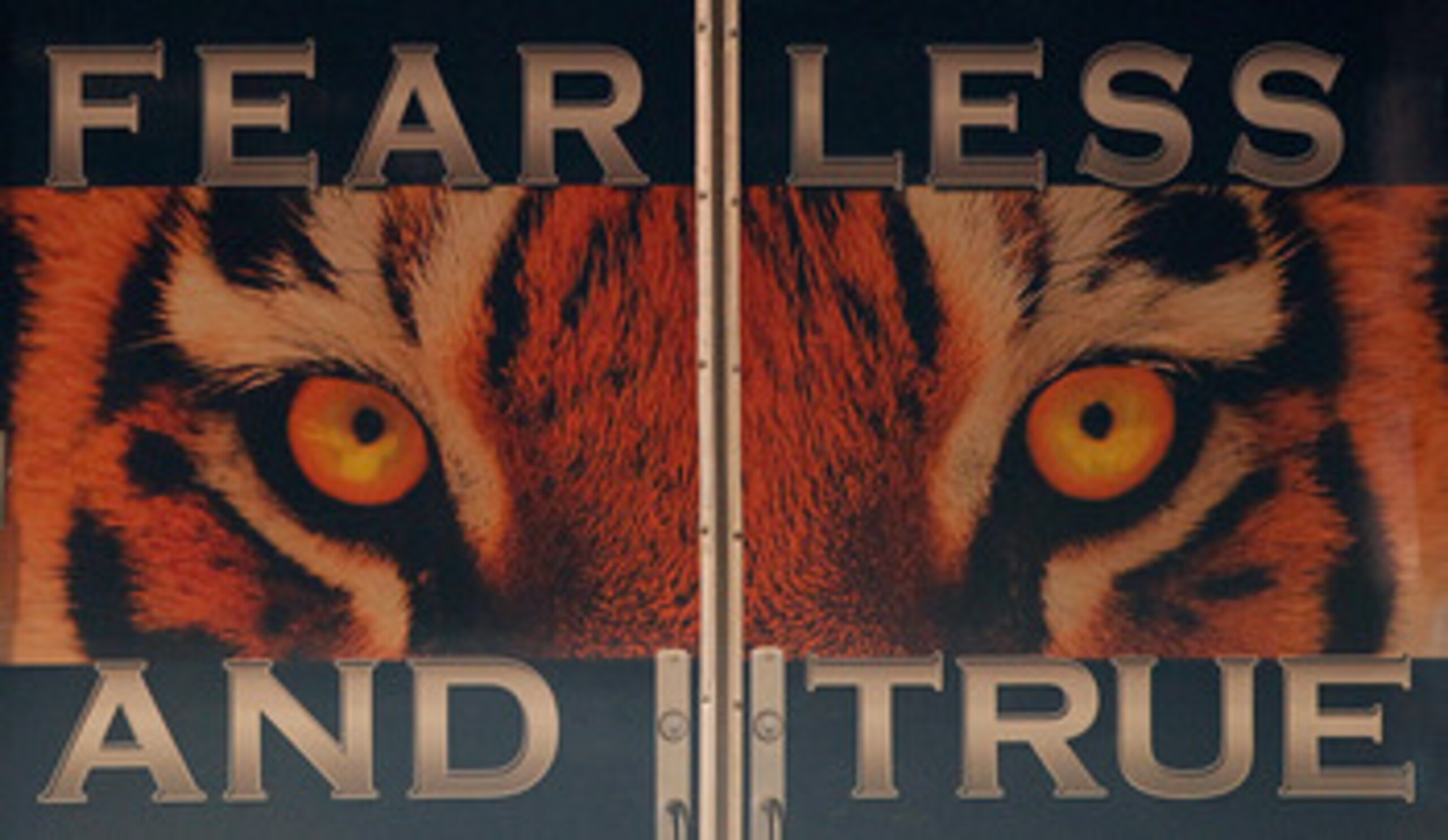 AUBURN, AL - OCTOBER 23:  A view of the doors to the locker room of the Auburn Tigers before facing the LSU Tigers at Jordan-Hare Stadium on October 23, 2010 in Auburn, Alabama.  (Photo by Kevin C. Cox/Getty Images)