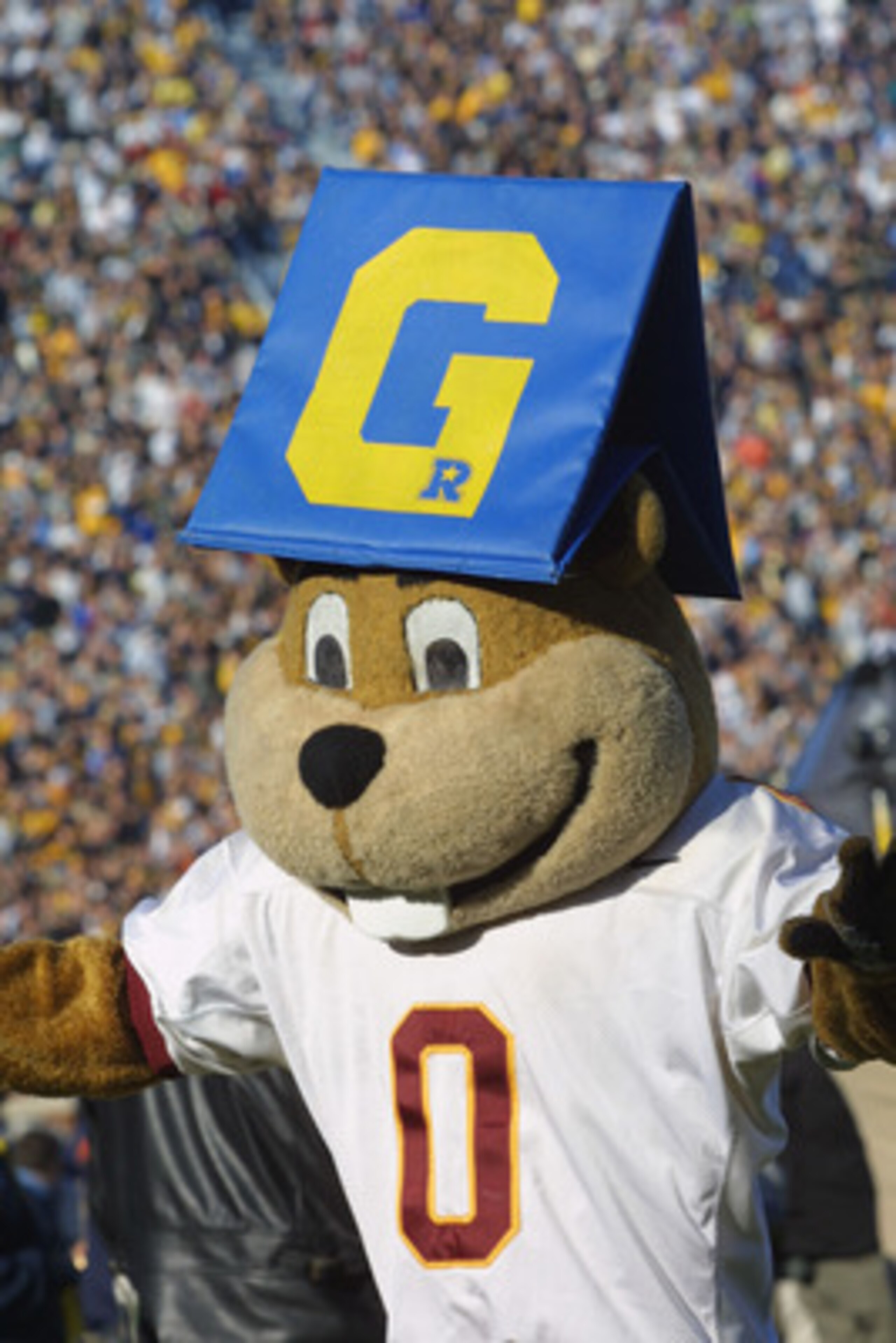 ANN ARBOR, MI - NOVEMBER 10:  The Minnesota Golden Gopher plays with the goal line marker during the Big Ten Conference football game against the Michigan Wolverines on November 10, 2001 at Michigan Stadium in Ann Arbor, Michigan.  Michigan defeated Minne