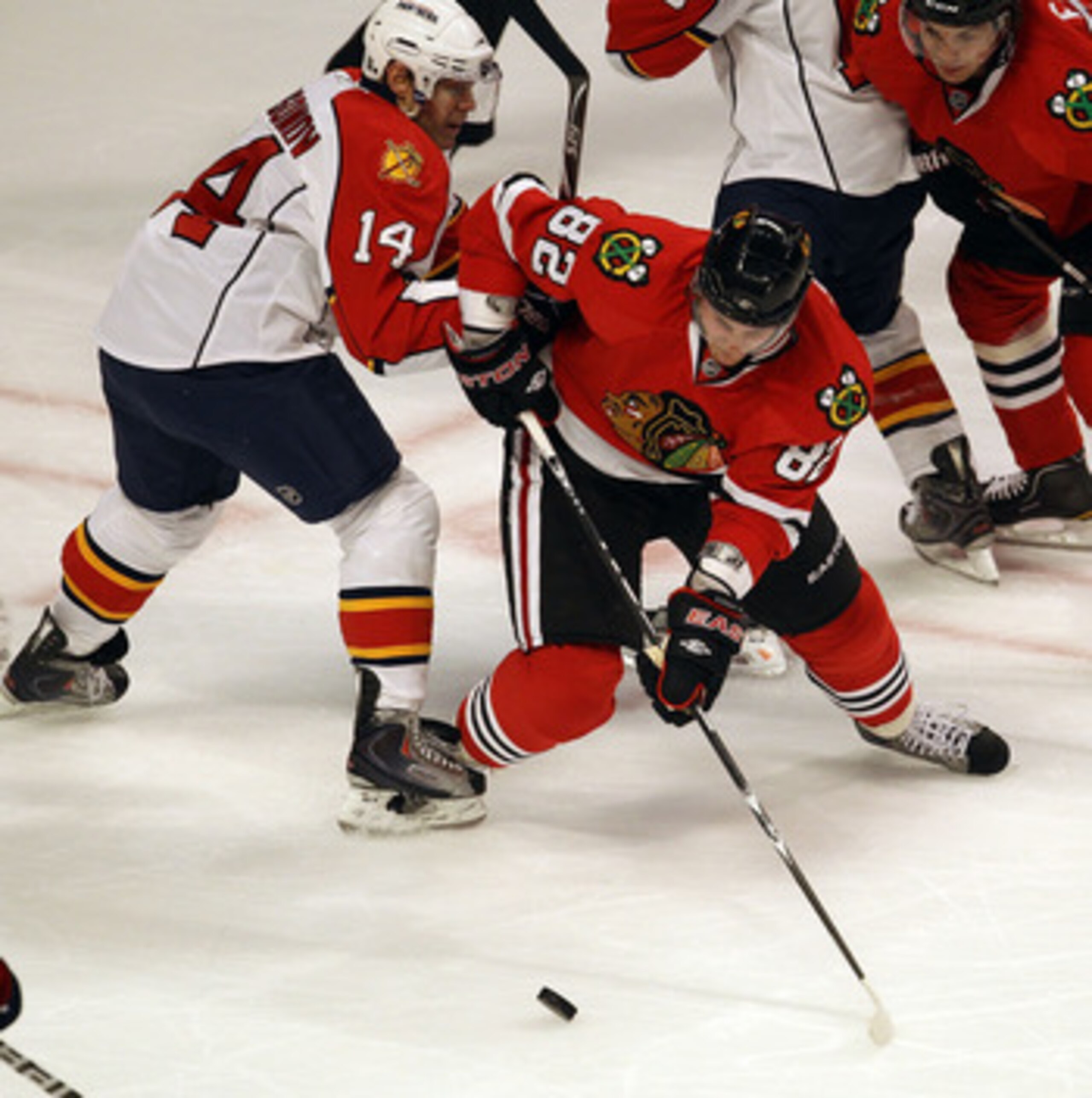 CHICAGO, IL - MARCH 23: Tomas Kopecky #82 of the Chicago Blackhawks moves to the puck under pressure from Sergei Samsonov #14 of the Florida Panthers at the United Center on March 23, 2011 in Chicago, Illinois. The Blackhawks defeated the Panthers 4-0. (P