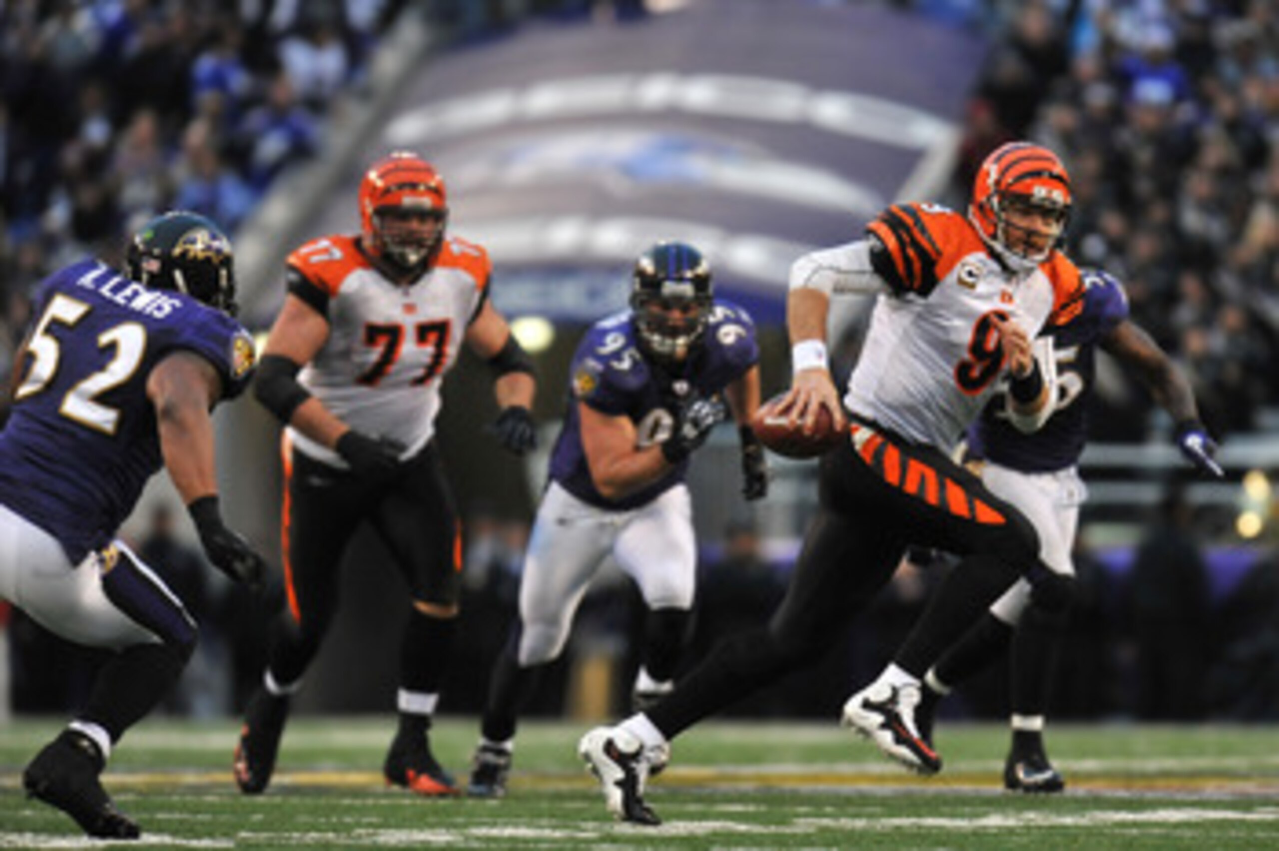 BALTIMORE, MD - JANUARY 2:  Carson Palmer #9 of the Cincinnati Bengals runs the ball before fumbling with less than two  minutes to go in the game against the Baltimore Ravens at M&T Bank Stadium on January 2, 2011 in Baltimore, Maryland. The Ravens defea