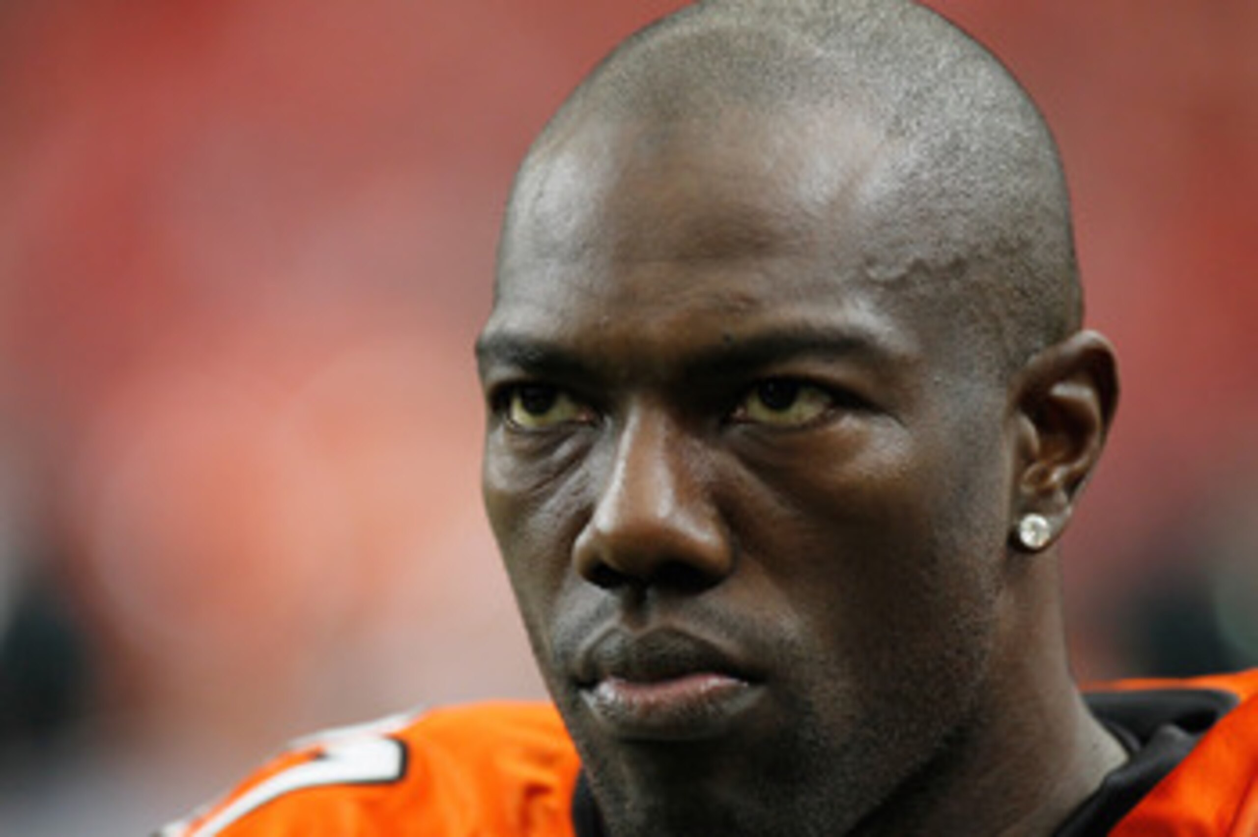 ATLANTA - OCTOBER 24:  Terrell Owens #81 of the Cincinnati Bengals against the Atlanta Falcons at Georgia Dome on October 24, 2010 in Atlanta, Georgia.  (Photo by Kevin C. Cox/Getty Images)