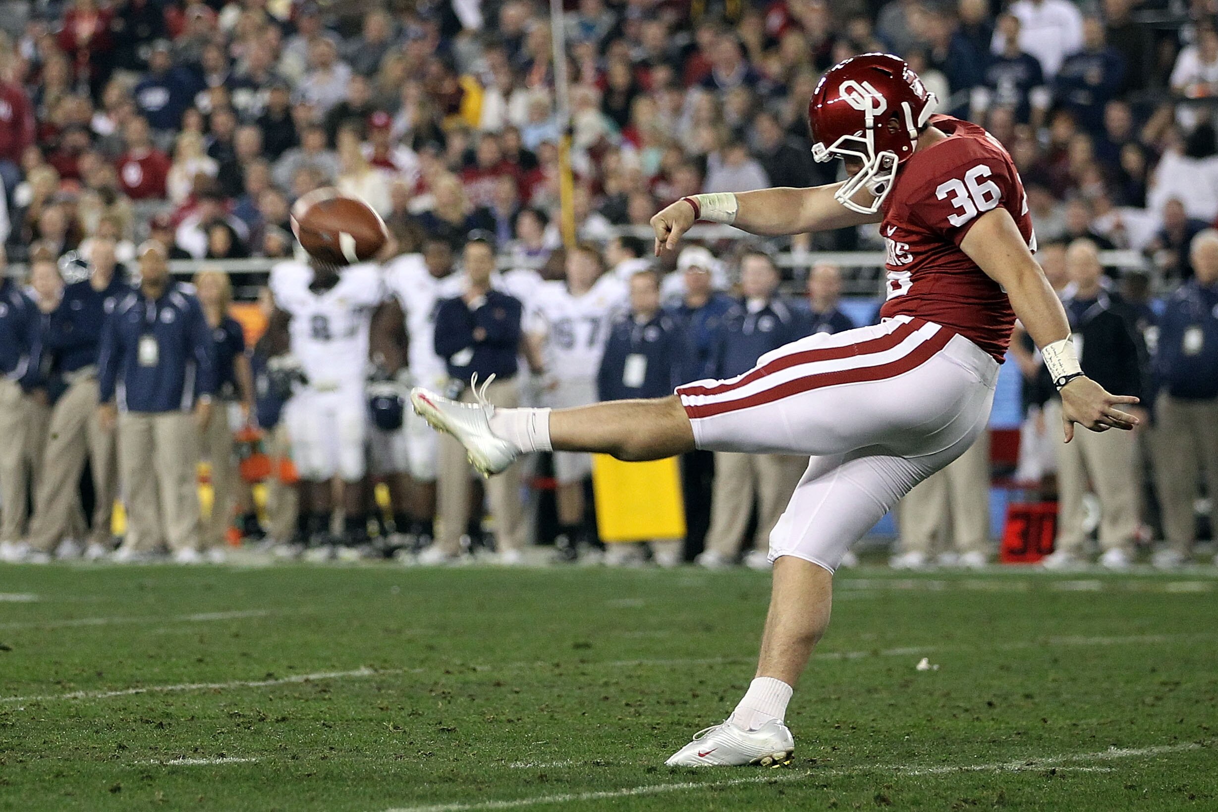 GLENDALE, AZ - JANUARY 01:  Tress Way #36 of the Oklahoma Sooners punts against the Connecticut Huskies during the Tostitos Fiesta Bowl at the Universtity of Phoenix Stadium on January 1, 2011 in Glendale, Arizona.  (Photo by Christian Petersen/Getty Imag