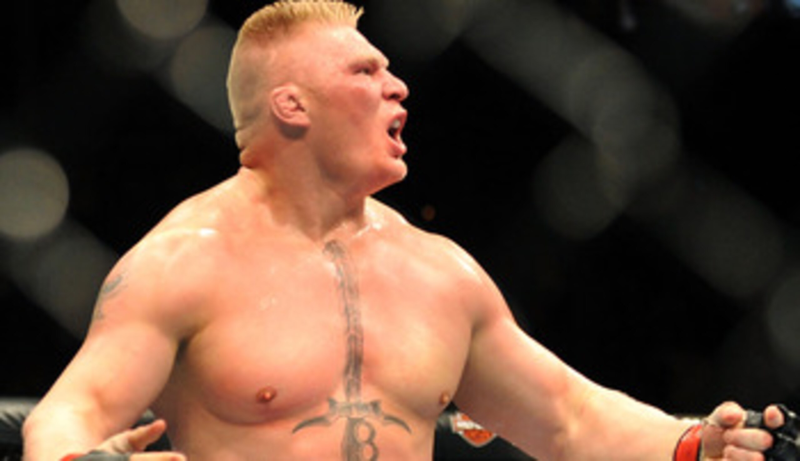 LAS VEGAS - JULY 11:  Brock Lesnar reacts after knocking out Frank Mir during their heavyweight title bout during UFC 100 on July 11, 2009 in Las Vegas, Nevada.  (Photo by Jon Kopaloff/Getty Images)