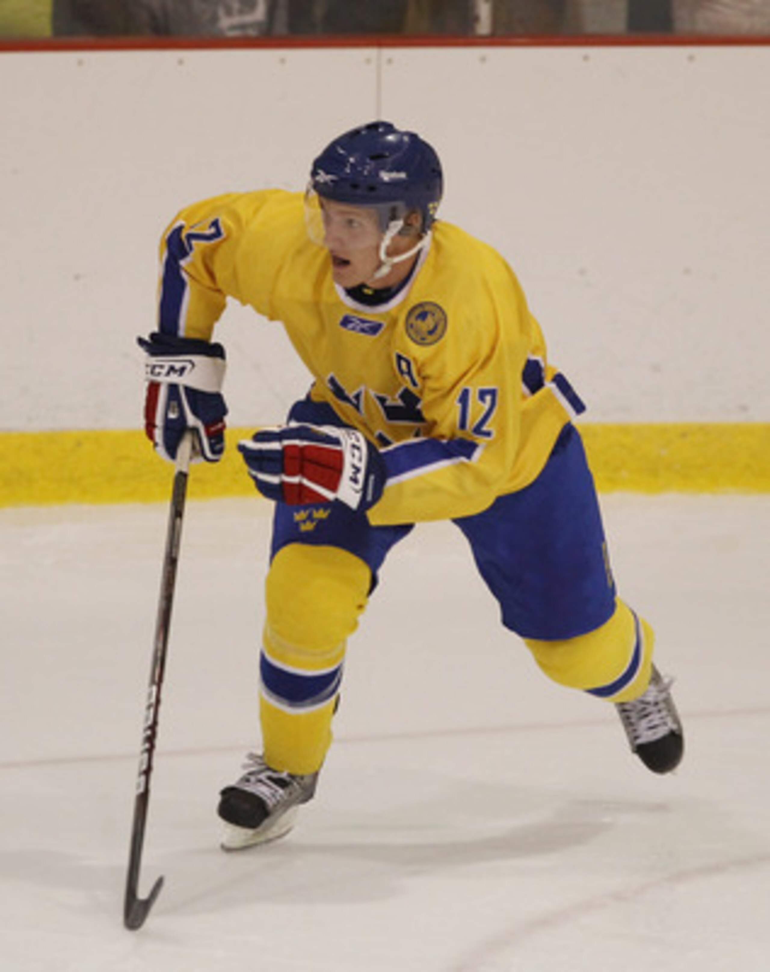 LAKE PLACID, NY - AUGUST 03:  Gabriel Landeskog #12 of Team Sweden skates against Team USA at the USA Hockey National Evaluation Camp on August 3, 2010 in Lake Placid, New York. Team USA defeated Team Sweden 6-3.  (Photo by Bruce Bennett/Getty Images)