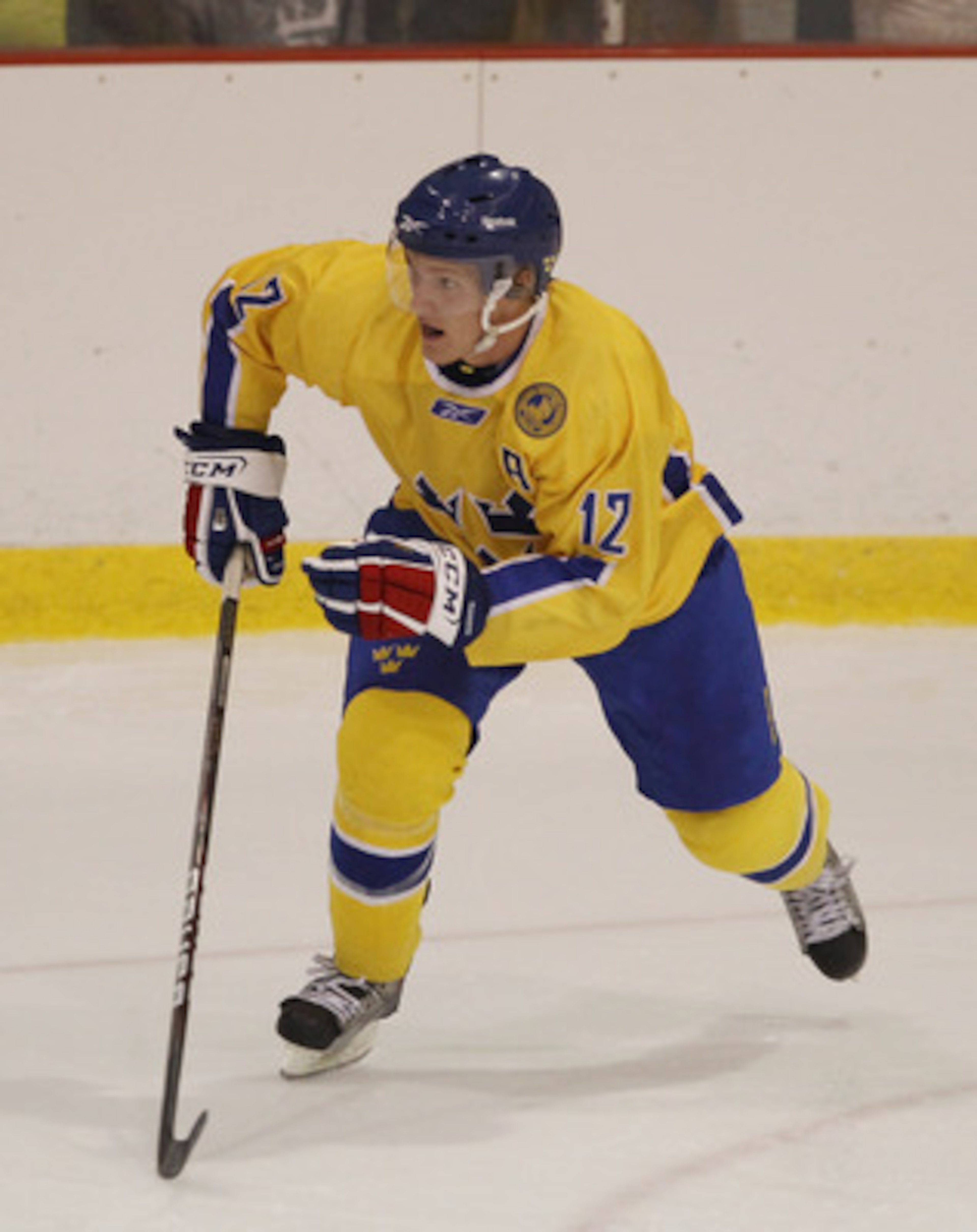 LAKE PLACID, NY - AUGUST 03:  Gabriel Landeskog #12 of Team Sweden skates against Team USA at the USA Hockey National Evaluation Camp on August 3, 2010 in Lake Placid, New York. Team USA defeated Team Sweden 6-3.  (Photo by Bruce Bennett/Getty Images)
