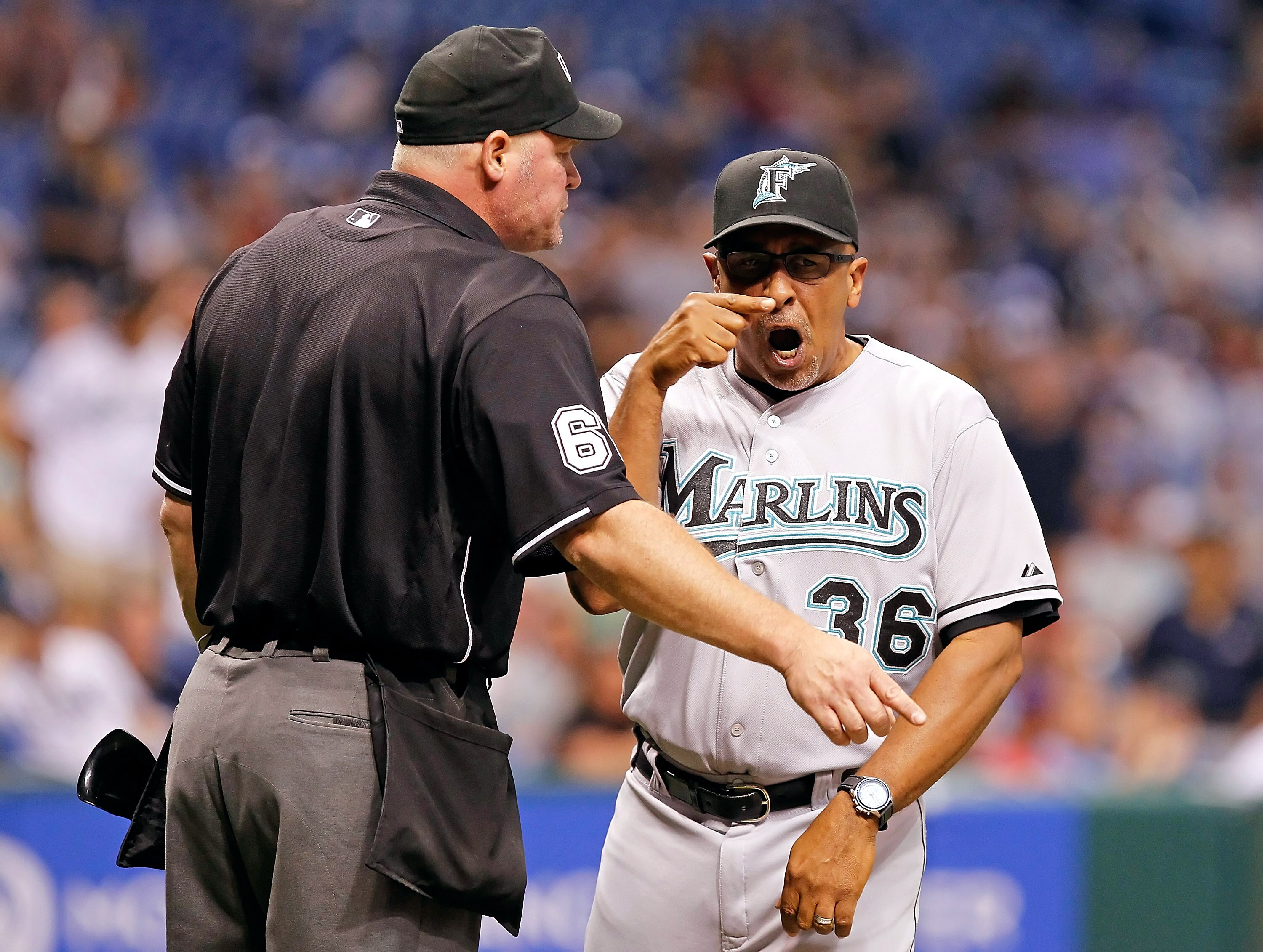 ST. PETERSBURG, FL - JUNE 17:  Manager Edwin Rodriguez #36 of the Florida Marlins argues with homeplate umpire Ted Barrett #65 before being ejected against the Tampa Bay Rays during the game at Tropicana Field on June 17, 2011 in St. Petersburg, Florida.