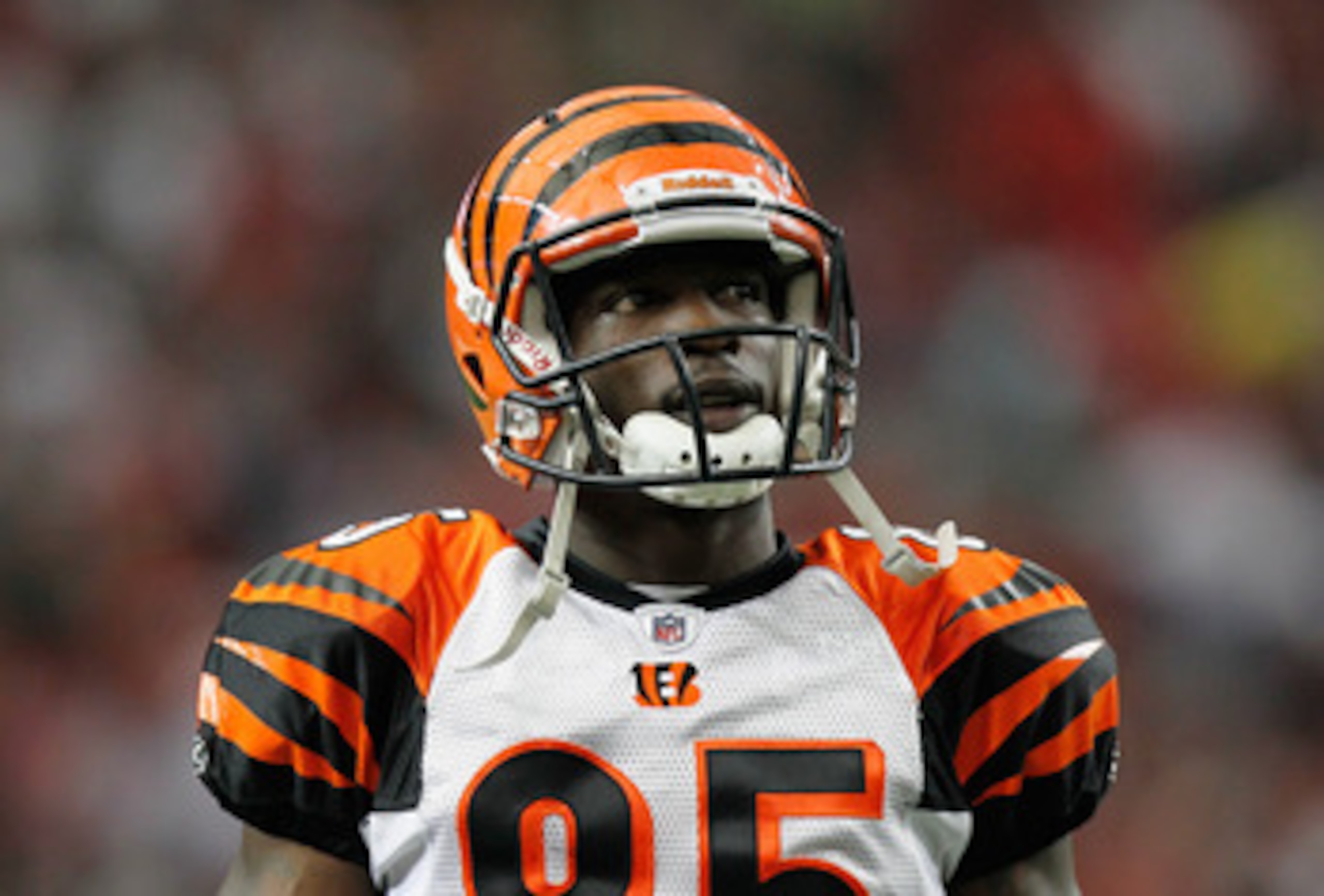 ATLANTA - OCTOBER 24:  Chad Ochocinco #85 of the Cincinnati Bengals against the Atlanta Falcons at Georgia Dome on October 24, 2010 in Atlanta, Georgia.  (Photo by Kevin C. Cox/Getty Images)