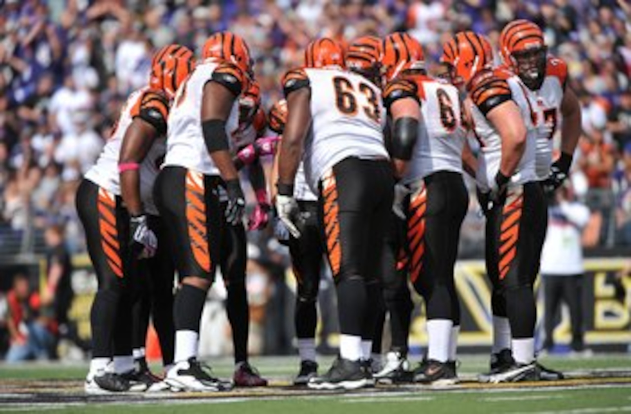 BALTIMORE - OCTOBER 11:  The Cincinnati Bengals offense huddles during the game against the Baltimore Ravens at M&T Bank Stadium on October 11, 2009 in Baltimore, Maryland. The Bengals defeated the Ravens 17-14. (Photo by Larry French/Getty Images)