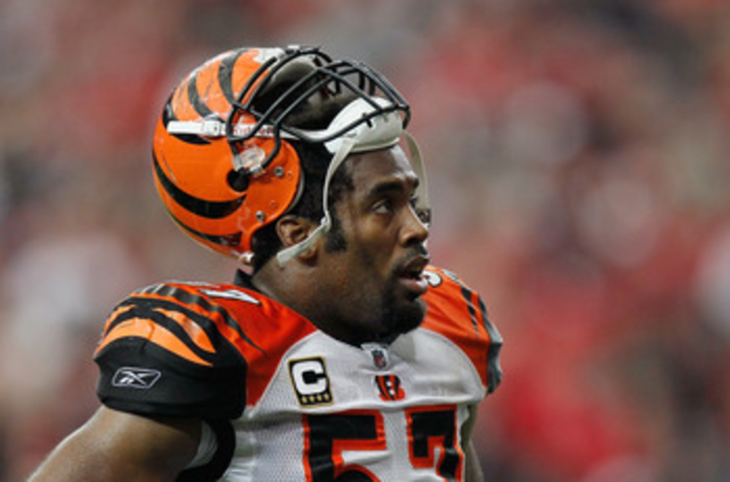 ATLANTA - OCTOBER 24:  Dhani Jones #57 of the Cincinnati Bengals against the Atlanta Falcons at Georgia Dome on October 24, 2010 in Atlanta, Georgia.  (Photo by Kevin C. Cox/Getty Images)