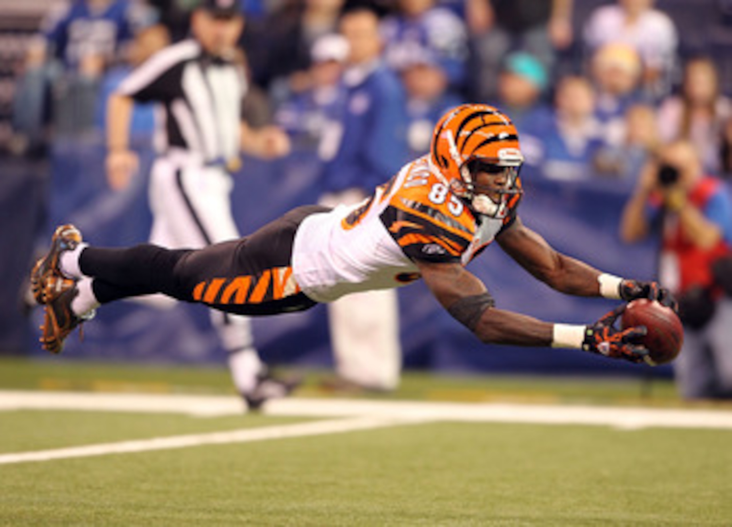 INDIANAPOLIS - NOVEMBER 14:  Chad Ochocinco #85 of the Cincinnati Bengals reaches for a pass during the Bengals 23-17 loss to the Indianapolis Colts in the NFL game at Lucas Oil Stadium on November 14, 2010 in Indianapolis, Indiana.  (Photo by Andy Lyons/