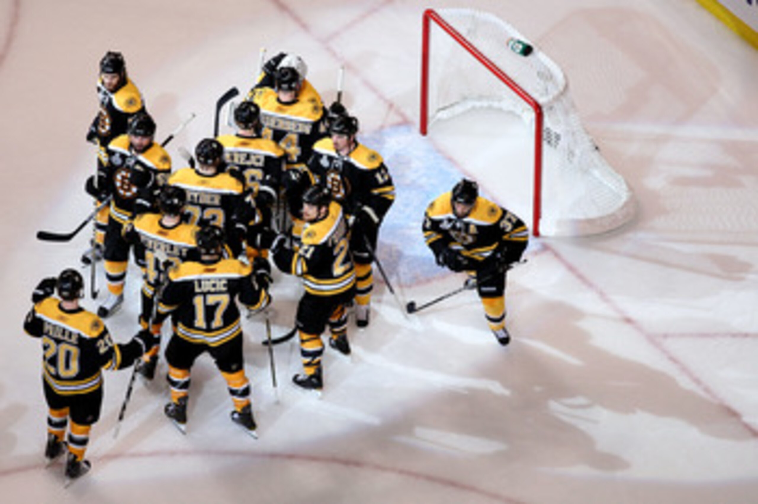 BOSTON, MA - JUNE 13:  Tim Thomas #30 of the Boston Bruins celebrates with David Krejci #46, Tomas Kaberle #12, Milan Lucic #17, Daniel Paille #20, Rich Peverley #49, Michael Ryder #73, Dennis Seidenberg #44 and Chris Kelly #23 after defeating the Vancouv