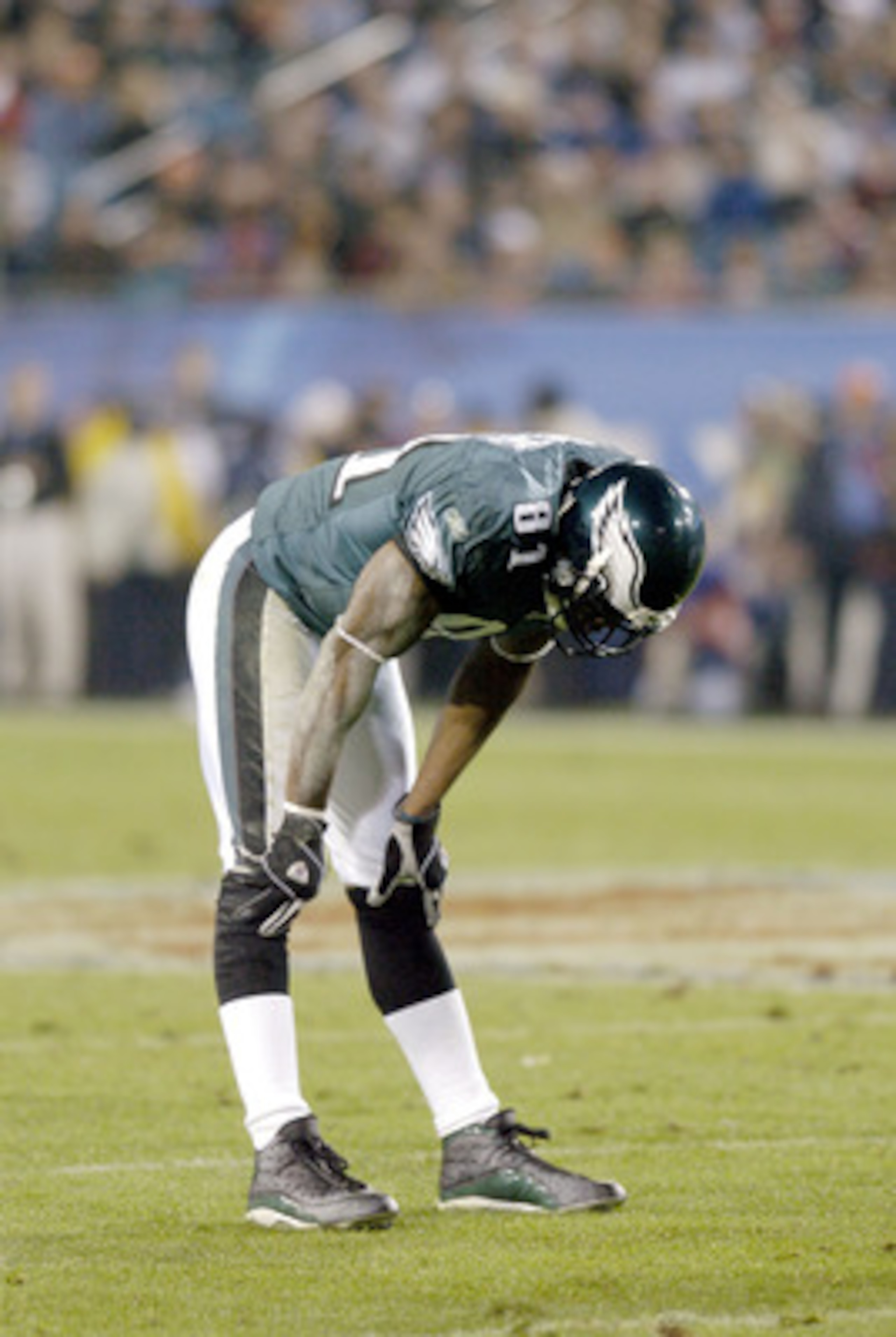 Eagles # 81 WR Terrell Owens during Super Bowl XXXIX between the Philadelphia Eagles and the New England Patriots at Alltel Stadium in Jacksonville, Florida on February 6, 2005. (Photo by Al Messerschmidt/Getty Images) Eagles # 81 WR Terrell Owens during Super Bowl XXXIX between the Philadelphia Eagles and the New England Patriots at Alltel Stadium in Jacksonville, Florida on February 6, 2005. (Photo by Al Messerschmidt/Getty Images)