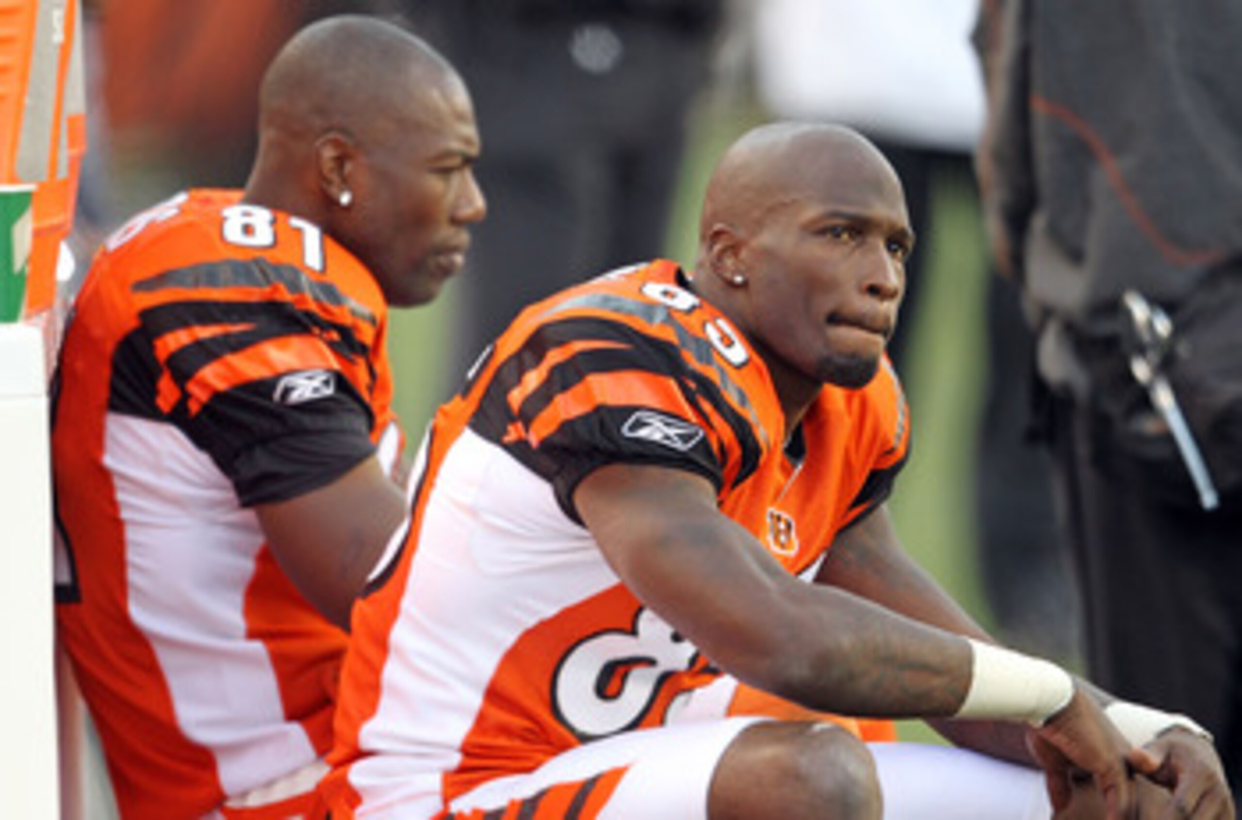 CINCINNATI - NOVEMBER 21: Chad Ochocinco #85 and Terrell Owens #81 of the Cincinnati Bengals watch from the sideline during the final minutes of the Bengals 49-31 loss to the Buffalo Bills at Paul Brown Stadium on November 21, 2010 in Cincinnati, Ohio. CINCINNATI - NOVEMBER 21: Chad Ochocinco #85 and Terrell Owens #81 of the Cincinnati Bengals watch from the sideline during the final minutes of the Bengals 49-31 loss to the Buffalo Bills at Paul Brown Stadium on November 21, 2010 in Cincinnati, Ohio.