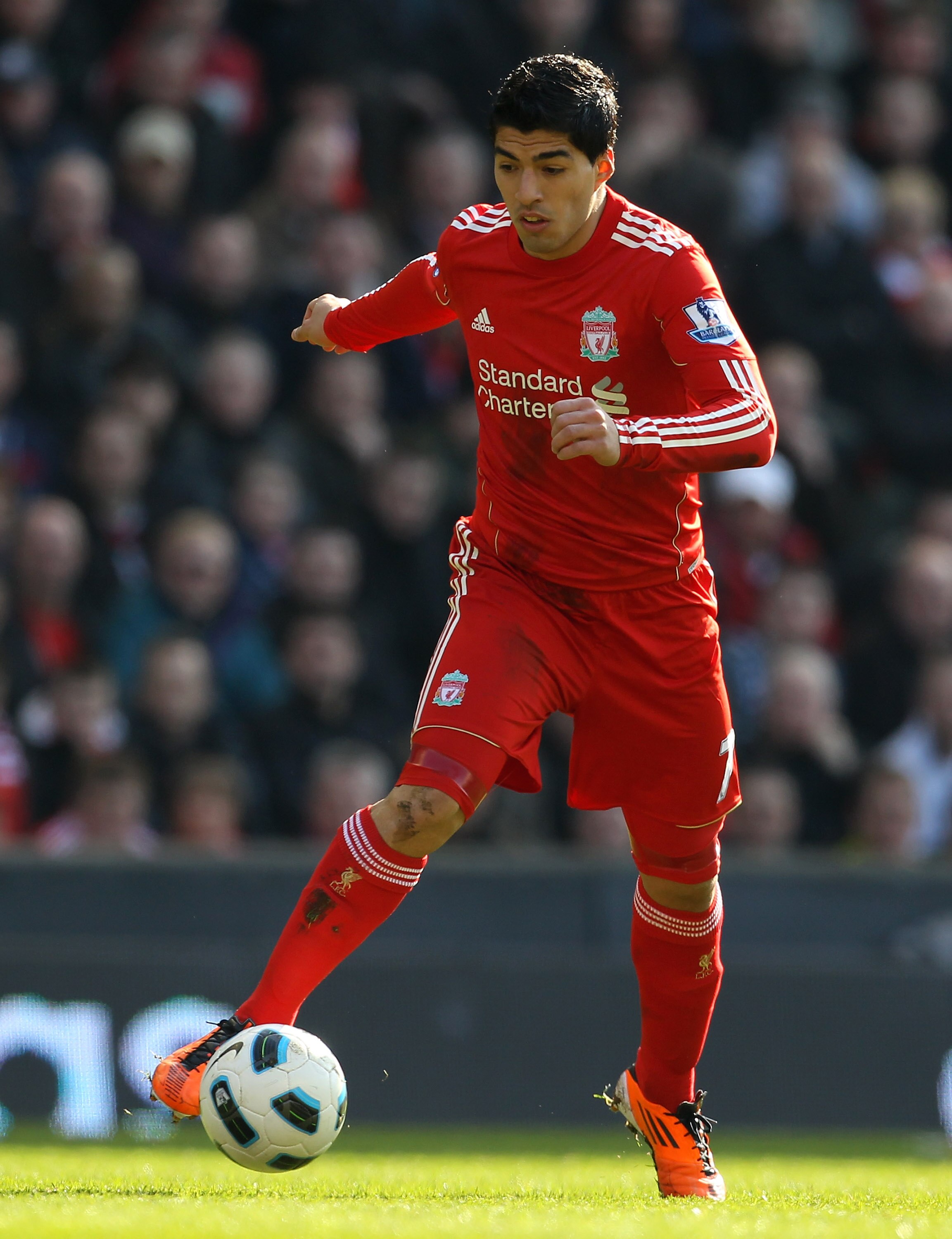 LIVERPOOL, ENGLAND - MARCH 06:   Luis Suarez of Liverpool in action during the Barclays Premier League match between Liverpool and Manchester United at Anfield on March 6, 2011 in Liverpool, England.  (Photo by Alex Livesey/Getty Images)