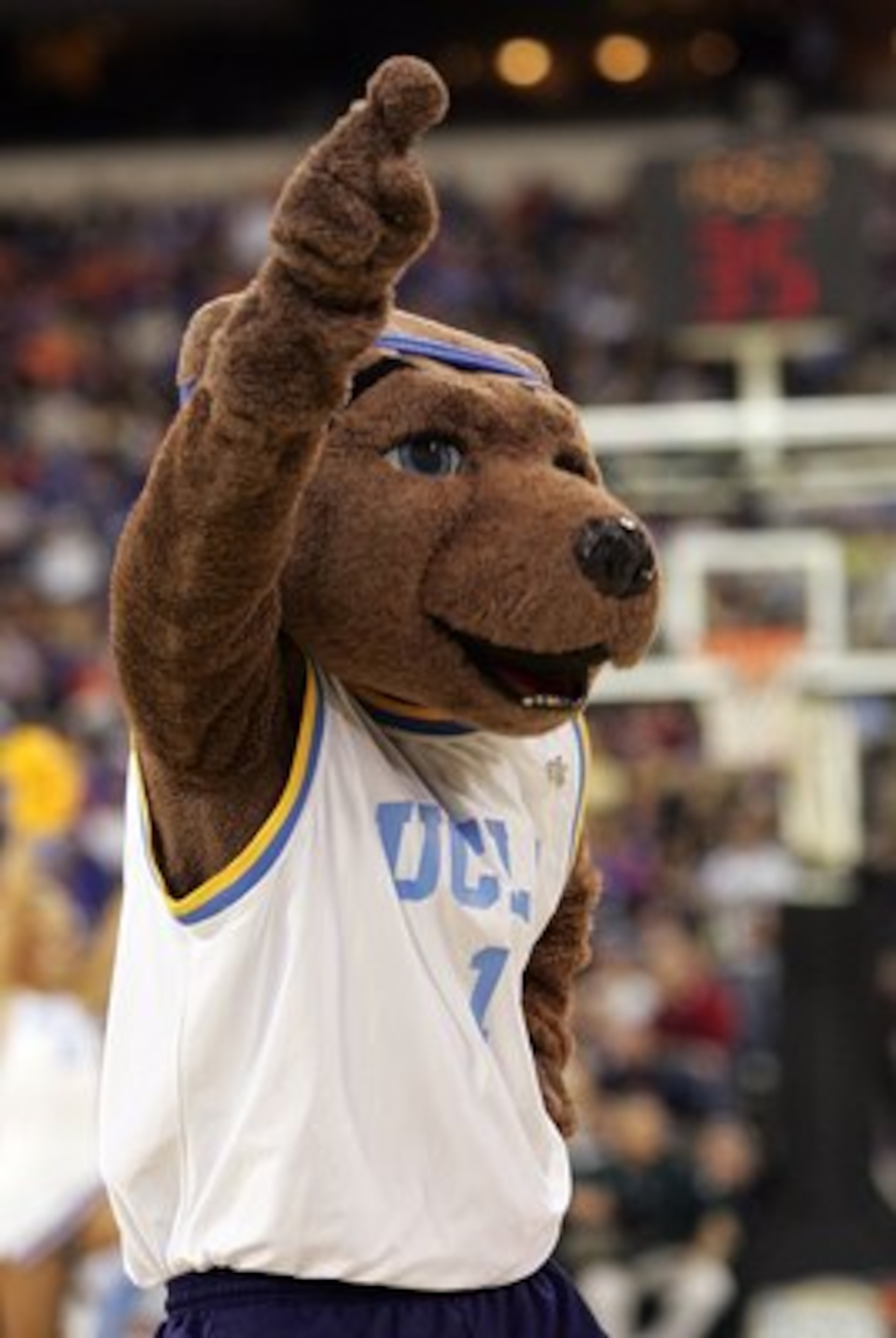 INDIANAPOLIS - APRIL 01: Joe Bruin, the UCLA Bruins mascot performs as they take on the LSU Tigers during the semifinal game of the NCAA Men's Final Four on April 1, 2006 at the RCA Dome in Indianapolis, Indiana. (Photo by Streeter Lecka/Getty Images) INDIANAPOLIS - APRIL 01: Joe Bruin, the UCLA Bruins mascot performs as they take on the LSU Tigers during the semifinal game of the NCAA Men's Final Four on April 1, 2006 at the RCA Dome in Indianapolis, Indiana. (Photo by Streeter Lecka/Getty Images)