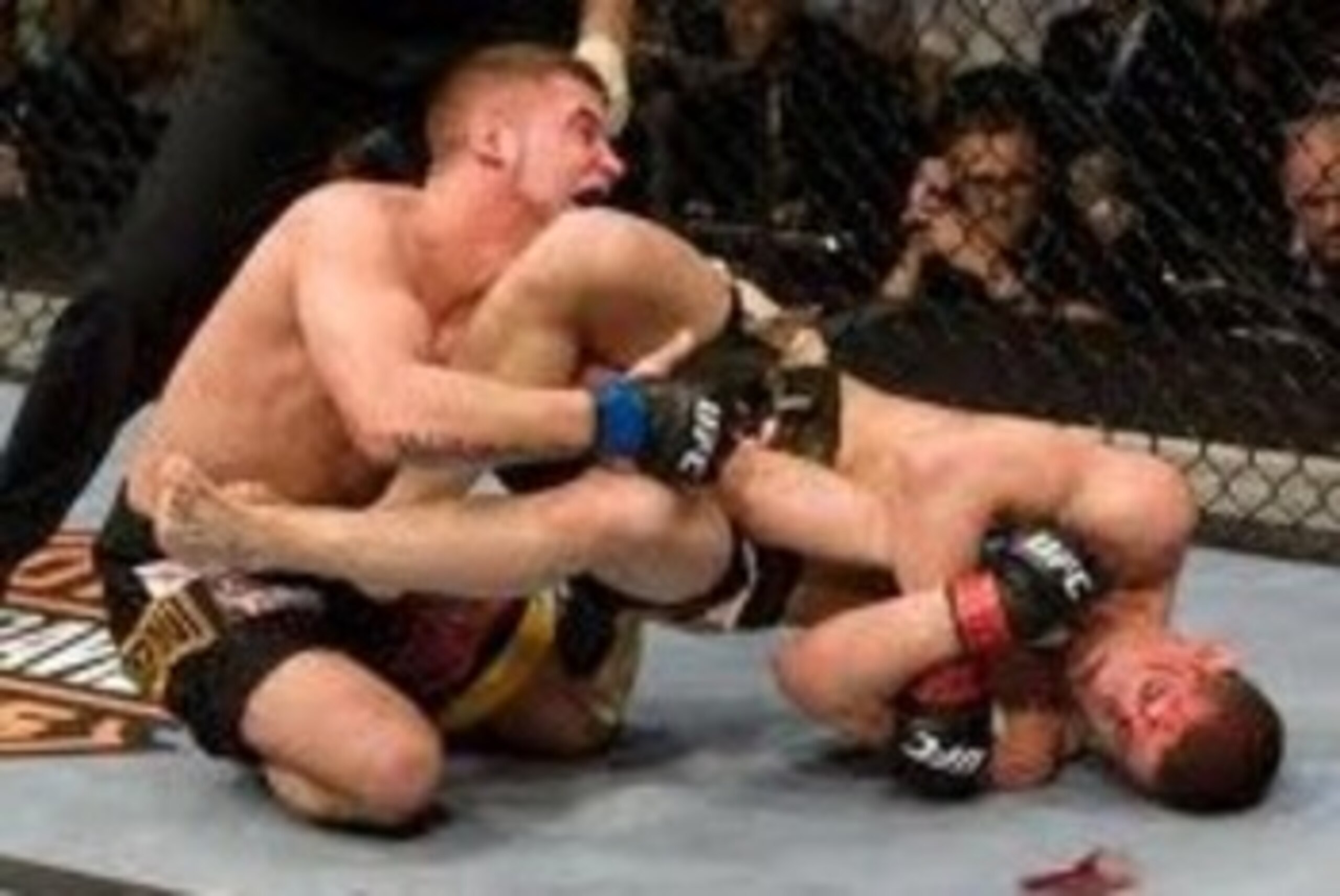 Joe Lauzon securing an arm bar submission victory