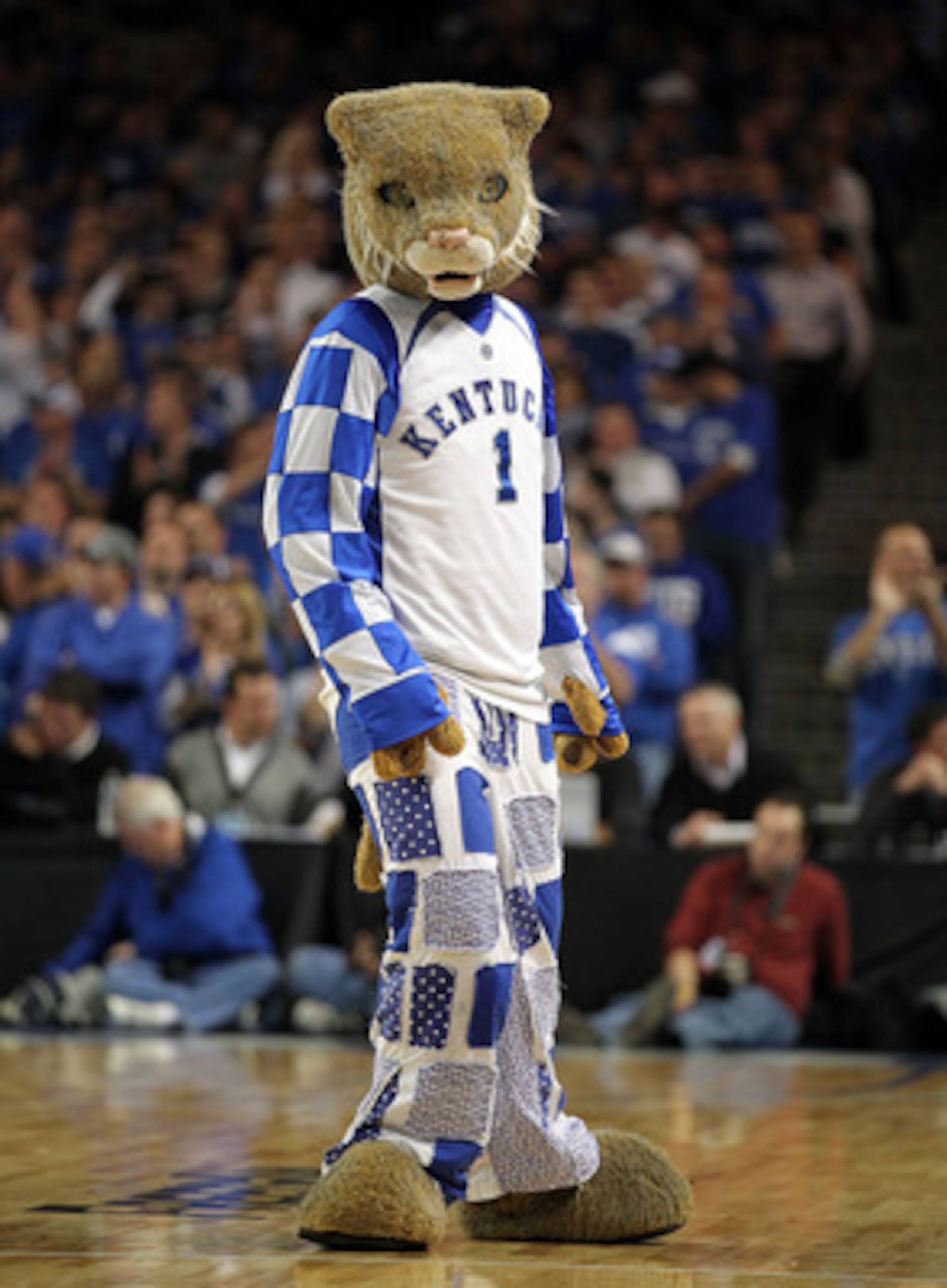 LOUISVILLE, KY - DECEMBER 08: The Kentucky Wildcats mascot performs during the game against the Notre Dame Fighting Irish in the 2010 DIRECTV SEC/BIG EAST Invitational at Freedom Hall on December 8, 2010 in Louisville, Kentucky. (Photo by Andy Lyons/Get LOUISVILLE, KY - DECEMBER 08: The Kentucky Wildcats mascot performs during the game against the Notre Dame Fighting Irish in the 2010 DIRECTV SEC/BIG EAST Invitational at Freedom Hall on December 8, 2010 in Louisville, Kentucky. (Photo by Andy Lyons/Get