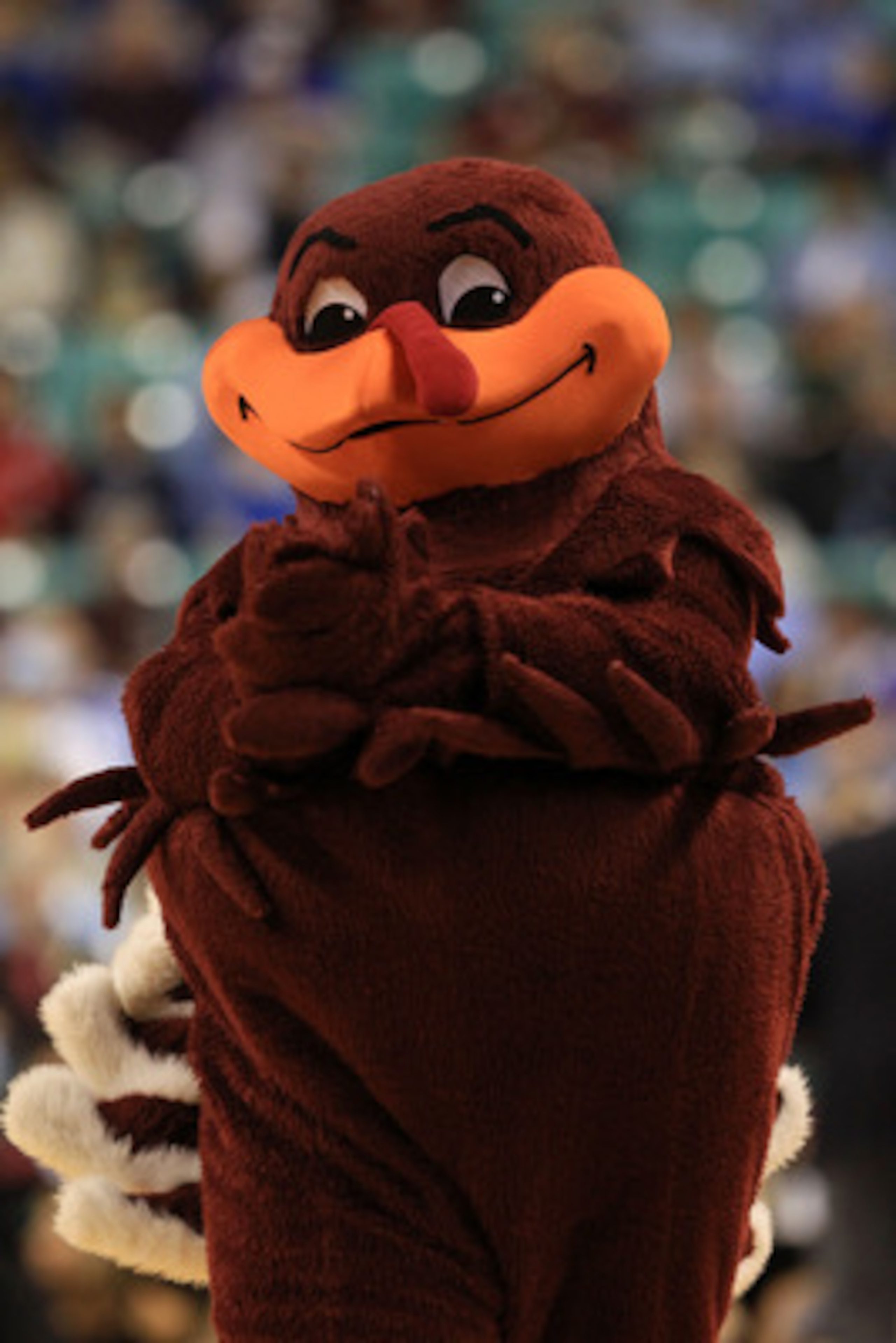 GREENSBORO, NC - MARCH 11: The HokieBird, the mascot for the Virginia Tech Hokies, performs during the first half against the Florida State Seminoles in the quarterfinals of the 2011 ACC men's basketball tournament at the Greensboro Coliseum on March 11, GREENSBORO, NC - MARCH 11: The HokieBird, the mascot for the Virginia Tech Hokies, performs during the first half against the Florida State Seminoles in the quarterfinals of the 2011 ACC men's basketball tournament at the Greensboro Coliseum on March 11,