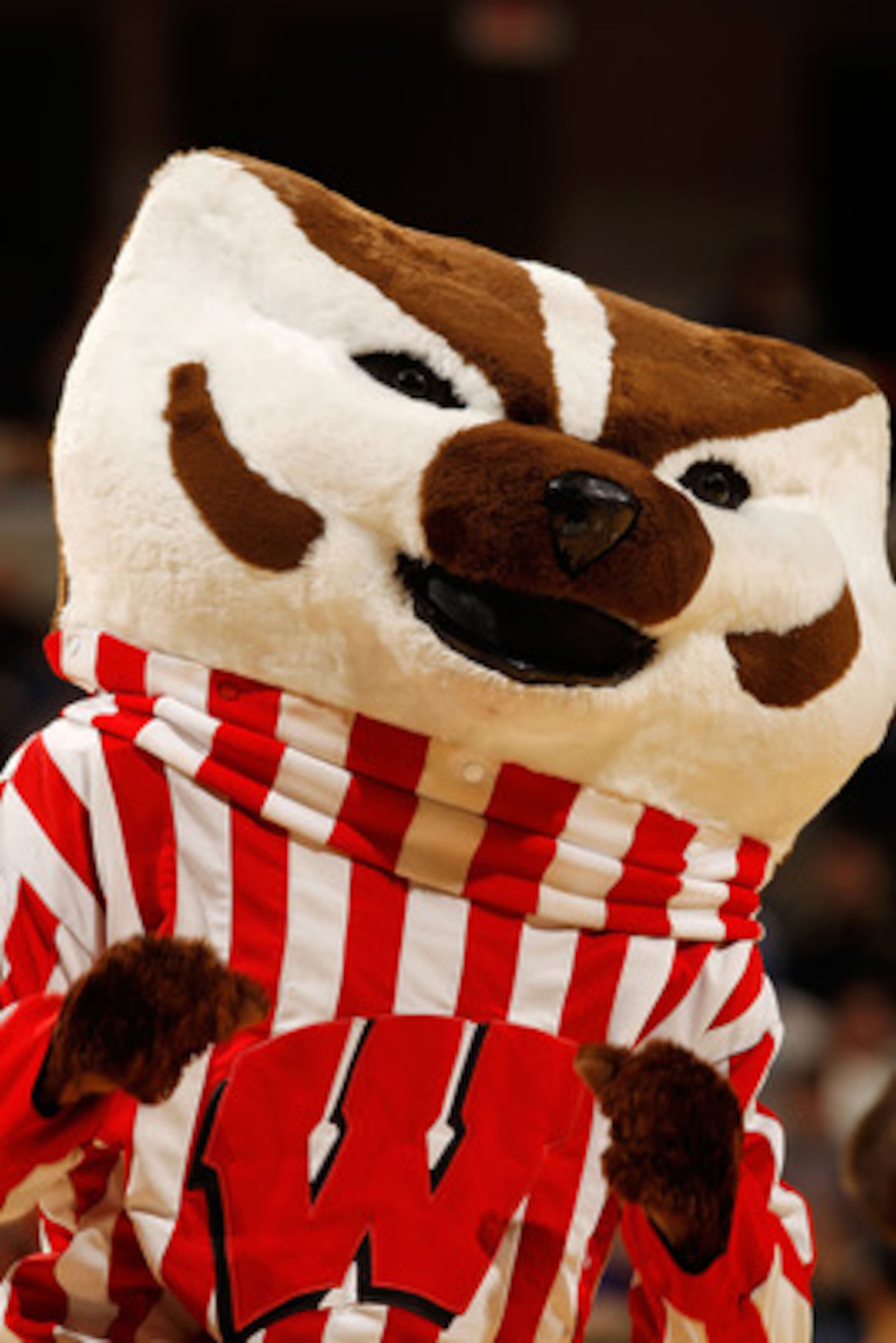 INDIANAPOLIS - MARCH 12: Bucky Badger, mascot of the Wisconsin Badgers performs during the game against the Illinois Fighting Illini in the quarterfinals of the Big Ten Men's Basketball Tournament at Conseco Fieldhouse on March 12, 2010 in Indianapolis, INDIANAPOLIS - MARCH 12: Bucky Badger, mascot of the Wisconsin Badgers performs during the game against the Illinois Fighting Illini in the quarterfinals of the Big Ten Men's Basketball Tournament at Conseco Fieldhouse on March 12, 2010 in Indianapolis,