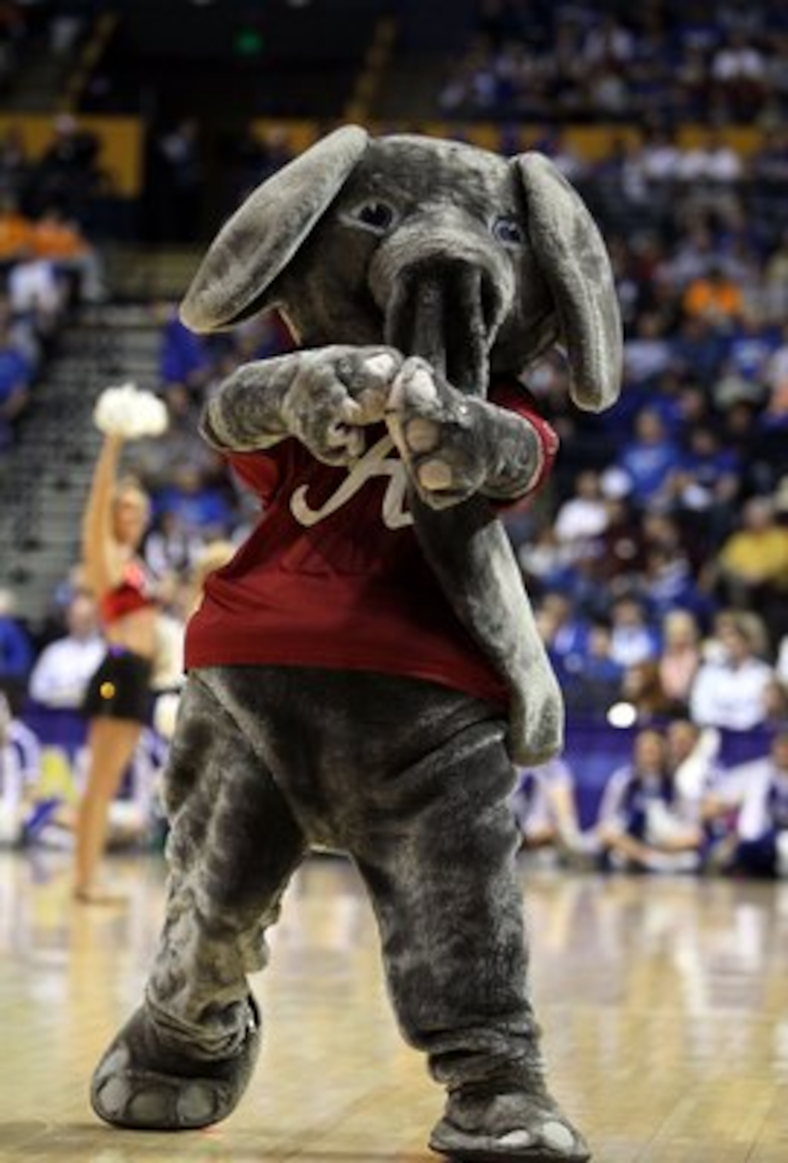 NASHVILLE, TN - MARCH 12: Big Al, the mascot from the Alabama Crimson Tide, performs against the Kentucky Wildcats during the quarterfinals of the SEC Men's Basketball Tournament at the Bridgestone Arena on March 12, 2010 in Nashville, Tennessee. (Photo NASHVILLE, TN - MARCH 12: Big Al, the mascot from the Alabama Crimson Tide, performs against the Kentucky Wildcats during the quarterfinals of the SEC Men's Basketball Tournament at the Bridgestone Arena on March 12, 2010 in Nashville, Tennessee. (Photo