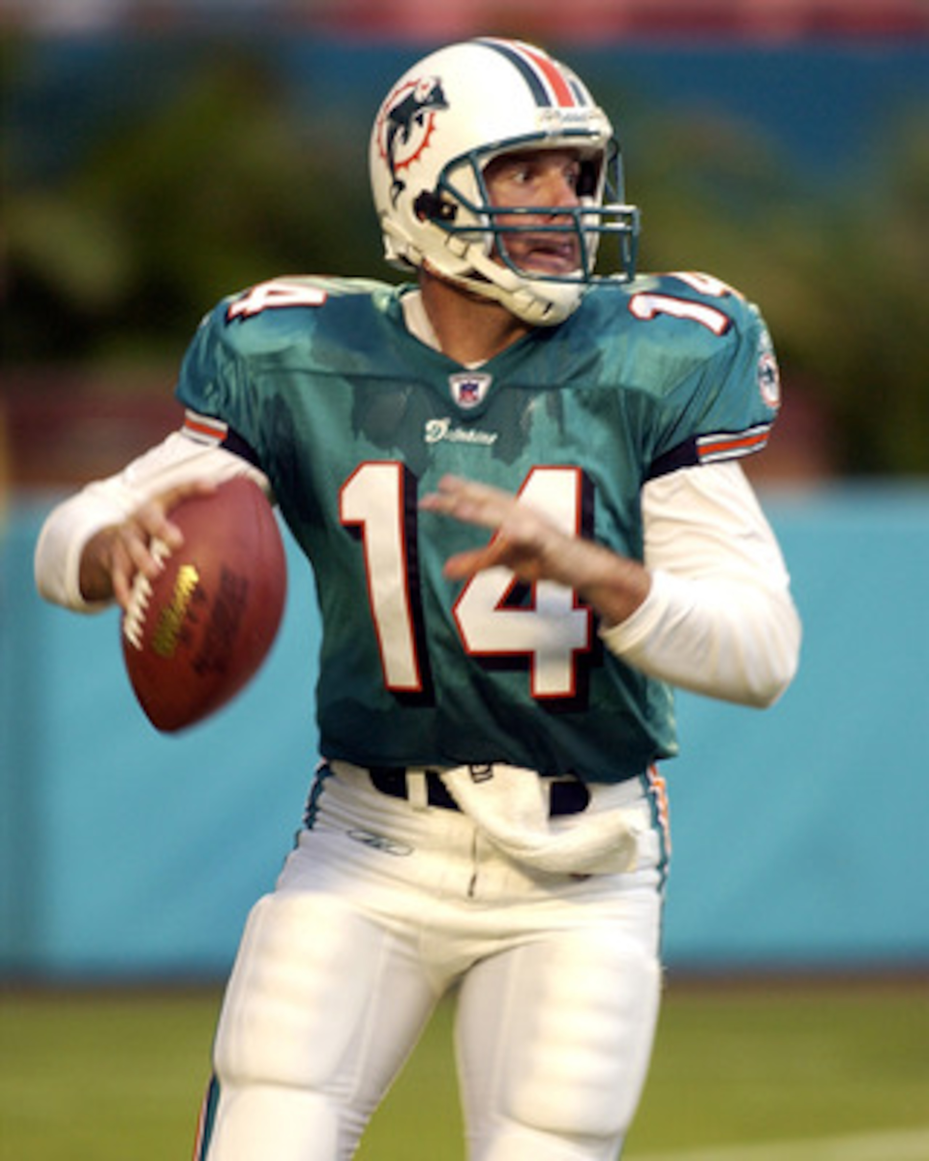 Miami Dolphins quarterback Brian Griese fades to pass against the Tampa Bay Buccaneers, The defending Super Bowl champions Bucs defeated the Dolphins 20 - 19 in the pre-season game.  (Photo by Al Messerschmidt/Getty Images)