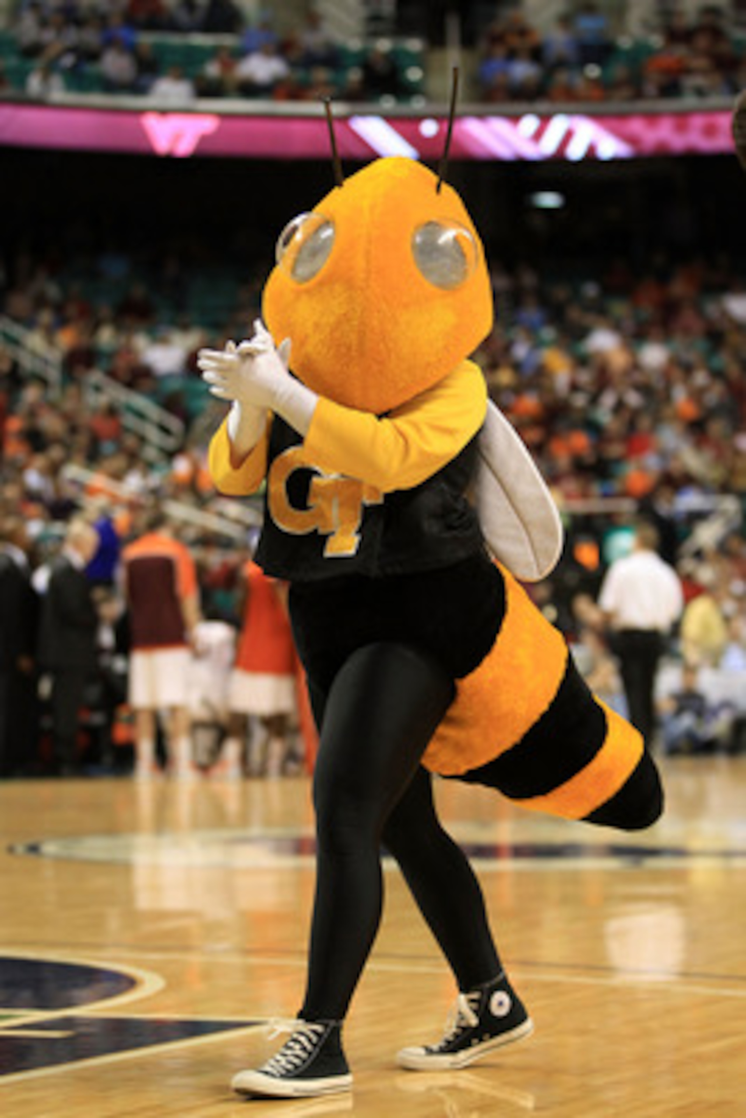 GREENSBORO, NC - MARCH 10: Buzz, the mascot for the Georgia Tech Yellow Jackets, performs during the first half of the game against the Virginia Tech Hokies in the first round of the 2011 ACC men's basketball tournament at the Greensboro Coliseum on Marc GREENSBORO, NC - MARCH 10: Buzz, the mascot for the Georgia Tech Yellow Jackets, performs during the first half of the game against the Virginia Tech Hokies in the first round of the 2011 ACC men's basketball tournament at the Greensboro Coliseum on Marc