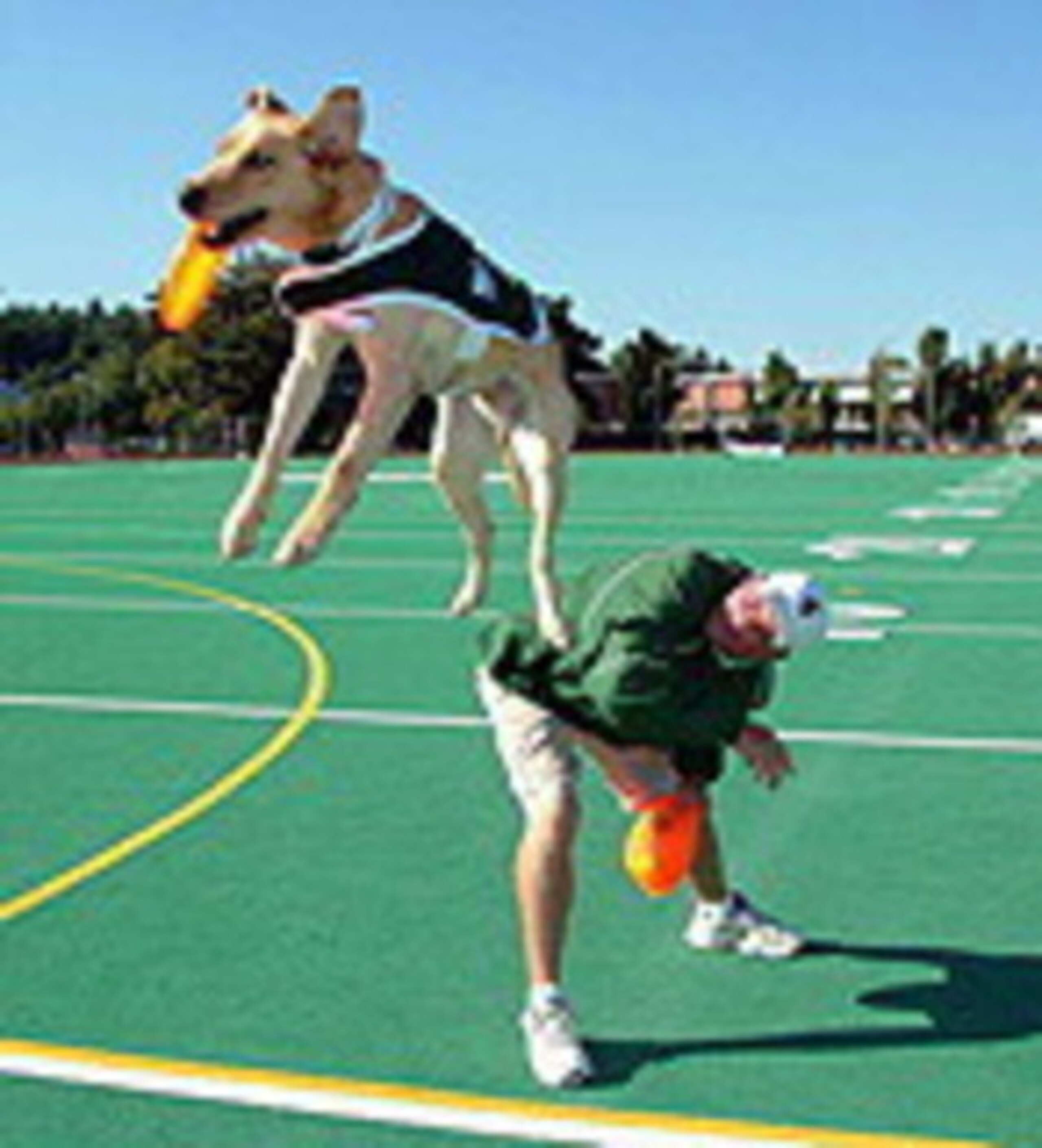 Photo from msualum.com