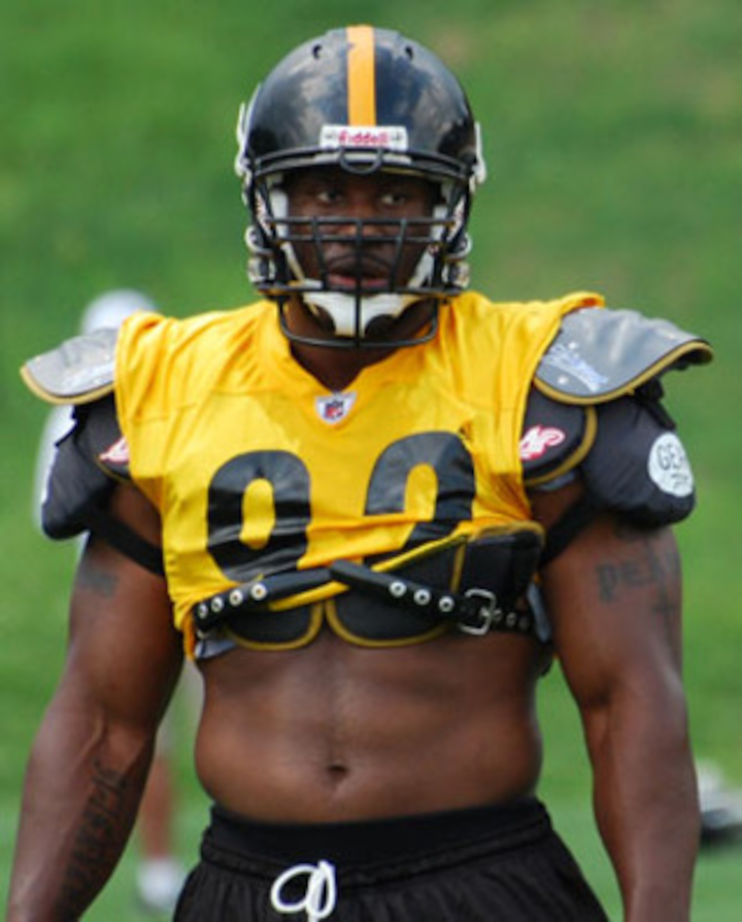 James Harrison does not like rules.