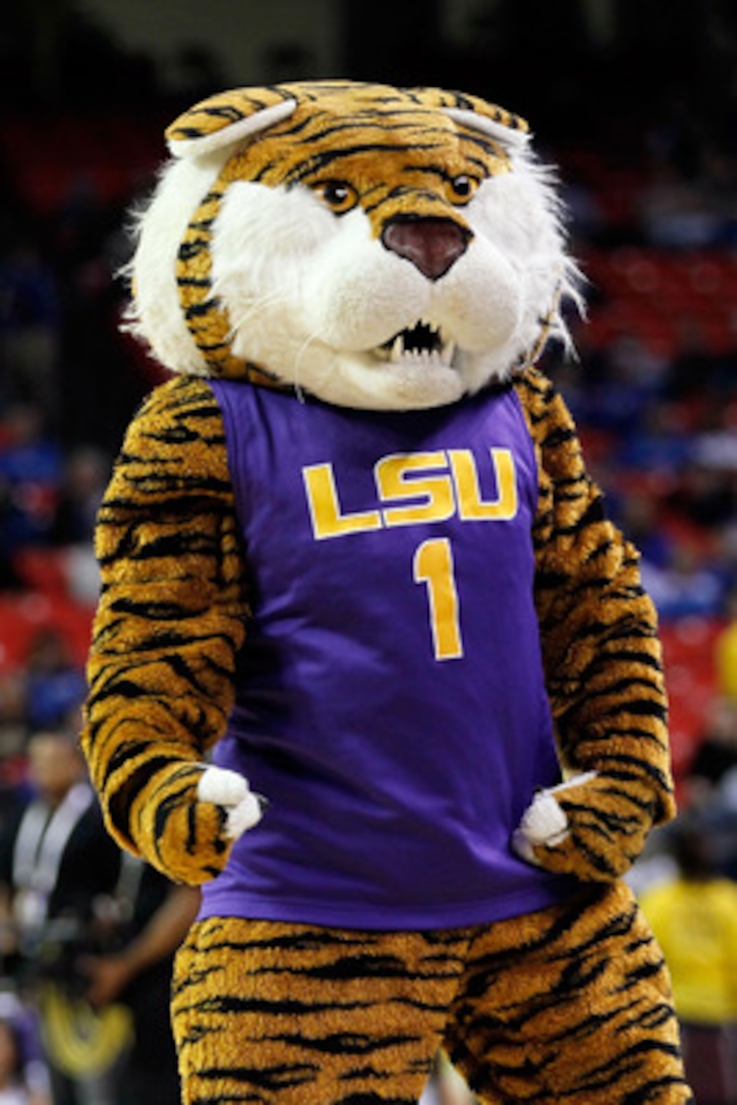 ATLANTA, GA - MARCH 10: Mascot Mike the Tiger of the LSU Tigers cheers during their game against the Vanderbilt Commodores in the first round of the SEC Men's Basketball Tournament at the Georgia Dome on March 10, 2011 in Atlanta, Georgia. (Photo by Kev ATLANTA, GA - MARCH 10: Mascot Mike the Tiger of the LSU Tigers cheers during their game against the Vanderbilt Commodores in the first round of the SEC Men's Basketball Tournament at the Georgia Dome on March 10, 2011 in Atlanta, Georgia. (Photo by Kev