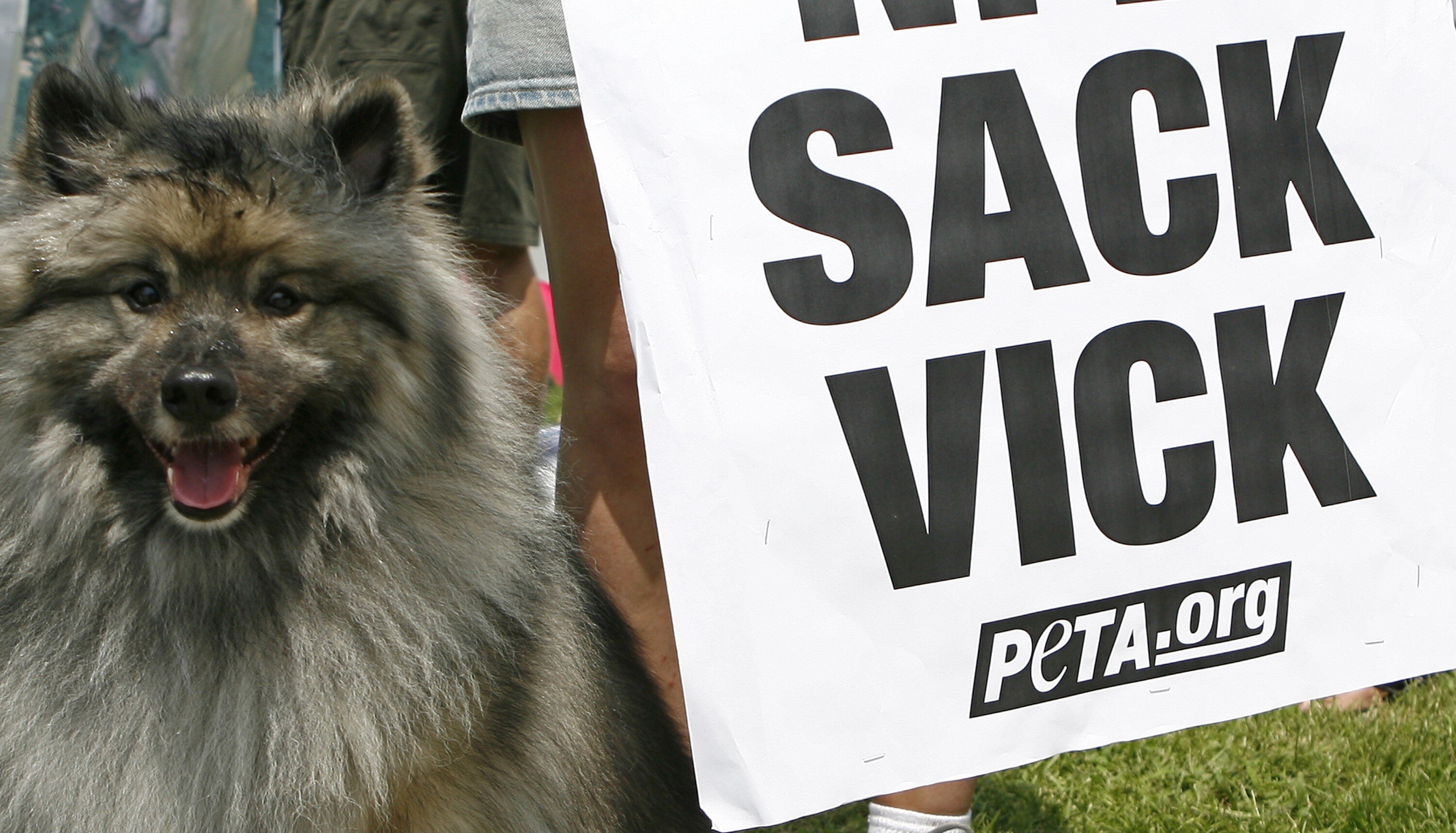 FLOWERY BRANCH, GA - JULY 26:  A dog sits next to a 'Sack Vick' sign at the PETA protest outside the grounds of the Atlanta Falcons training camp July 26, 2007 in Flowery Branch, Georgia. Falcons quarterback Michael Vick was to appear for a bond hearing a