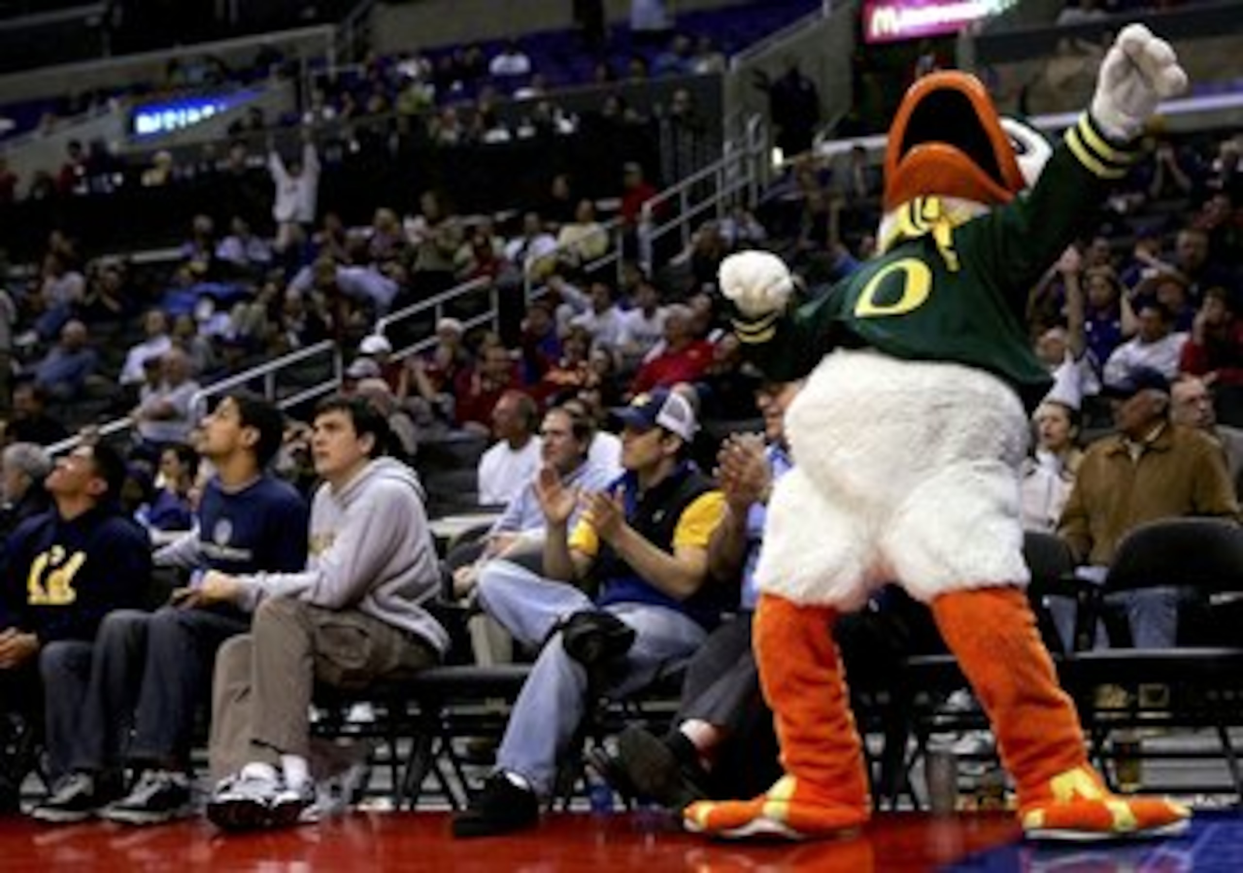 LOS ANGELES, CA - MARCH 09: The mascot for the Oregon Ducks celebrates as the Ducks make a comeback in the second half against the Washington Huskies in the quarterfinals of the 2006 Pacific Life Pac-10 Men's Basketball Tournament on March 9, 2006 at Sta LOS ANGELES, CA - MARCH 09: The mascot for the Oregon Ducks celebrates as the Ducks make a comeback in the second half against the Washington Huskies in the quarterfinals of the 2006 Pacific Life Pac-10 Men's Basketball Tournament on March 9, 2006 at Sta