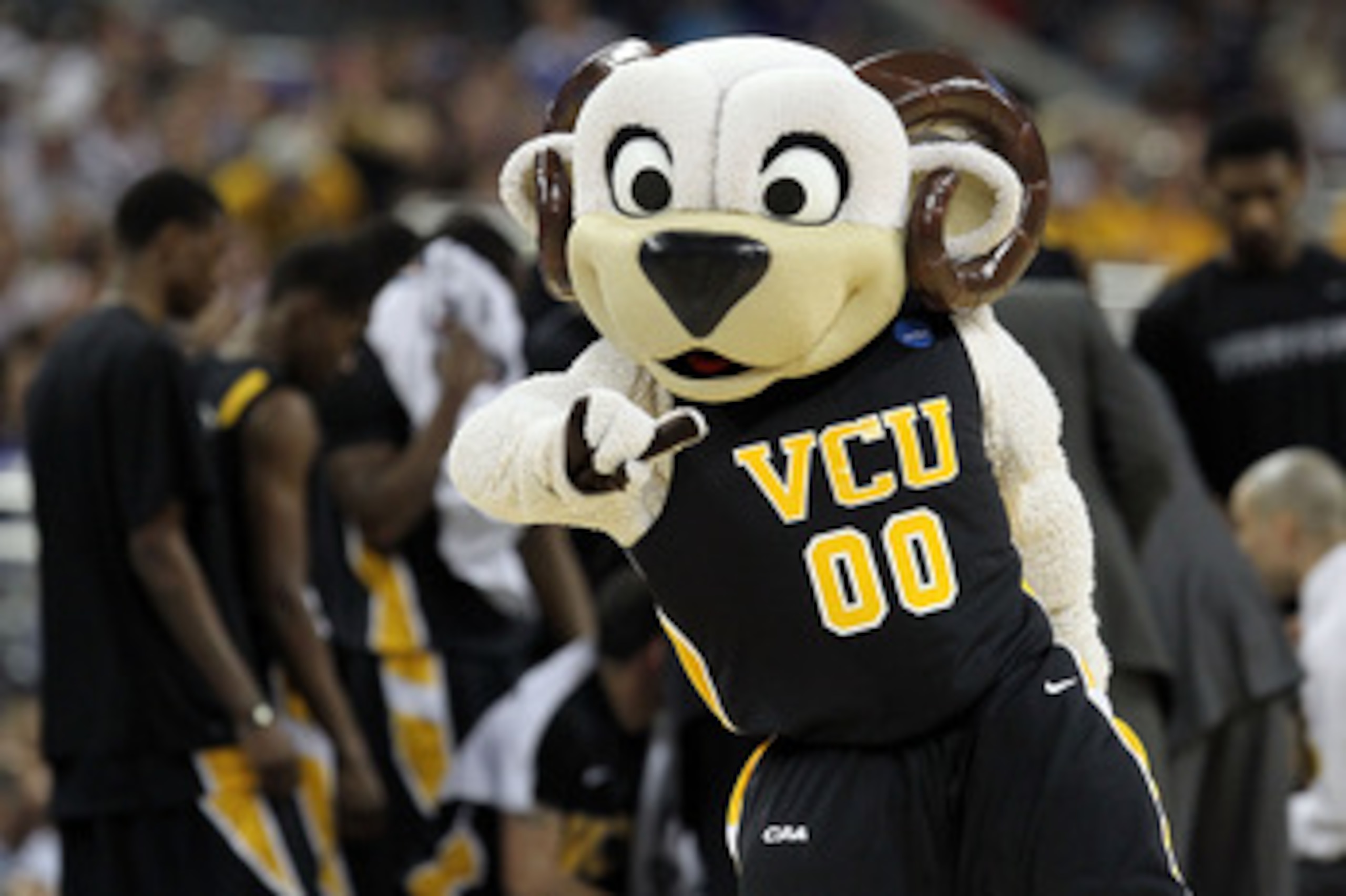 HOUSTON, TX - APRIL 02: The Virginia Commonwealth Rams mascot performs prior to the National Semifinal game of the 2011 NCAA Division I Men's Basketball Championship at Reliant Stadium on April 2, 2011 in Houston, Texas. (Photo by Ronald Martinez/Getty HOUSTON, TX - APRIL 02: The Virginia Commonwealth Rams mascot performs prior to the National Semifinal game of the 2011 NCAA Division I Men's Basketball Championship at Reliant Stadium on April 2, 2011 in Houston, Texas. (Photo by Ronald Martinez/Getty