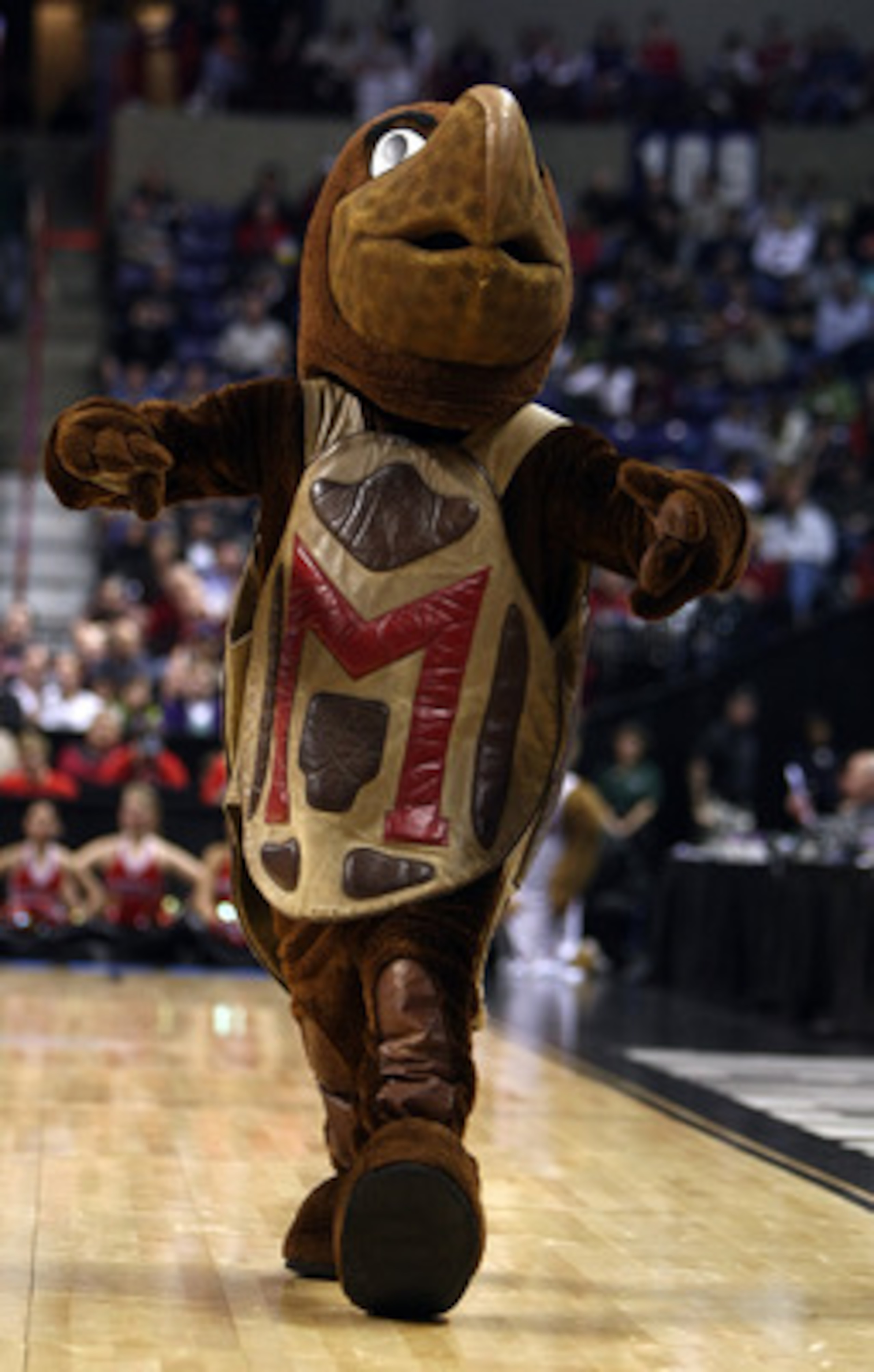 SPOKANE, WA - MARCH 19: The Maryland Terrapins mascot performs during a pause in the action against the Houston Cougars during the first round of the 2010 NCAA menÕs basketball tournament at Spokane Arena on March 19, 2010 in Spokane, Washington. (Photo SPOKANE, WA - MARCH 19: The Maryland Terrapins mascot performs during a pause in the action against the Houston Cougars during the first round of the 2010 NCAA menÕs basketball tournament at Spokane Arena on March 19, 2010 in Spokane, Washington. (Photo