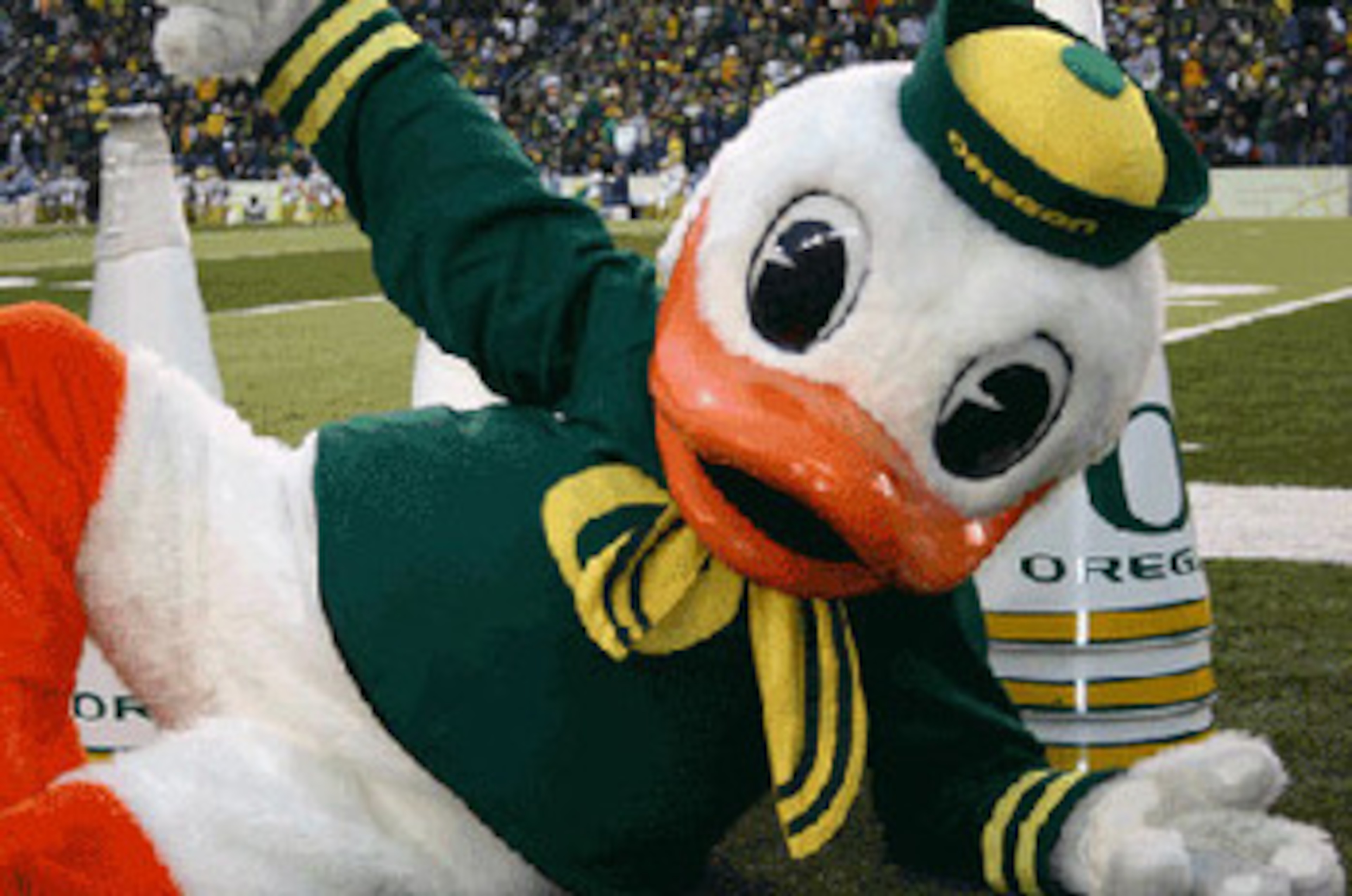 EUGENE, CA - SEPTEMBER 29:The Oregon Duck mascot waves to the crowd against the California Golden Bears at Autzen Stadium on September 29, 2007 in Eugene, Oregon. (Photo by Jonathan Ferrey/Getty Images) EUGENE, CA - SEPTEMBER 29:The Oregon Duck mascot waves to the crowd against the California Golden Bears at Autzen Stadium on September 29, 2007 in Eugene, Oregon. (Photo by Jonathan Ferrey/Getty Images)