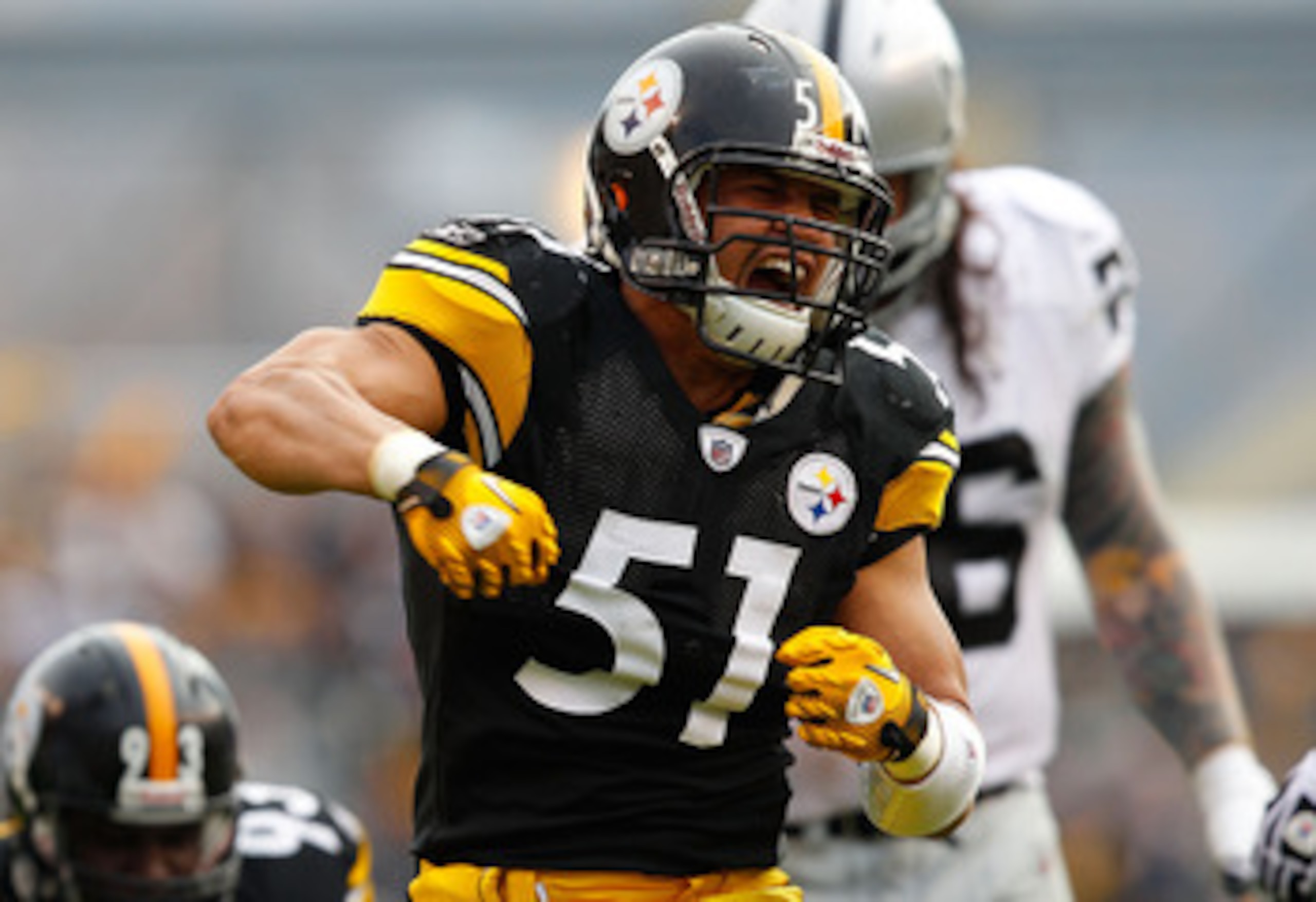 PITTSBURGH - NOVEMBER 21: James Farrior #51 of the Pittsburgh Steelers celebrates after sacking  Jason Campbell #8 of the Oakland Raiders during the game on November 21, 2010 at Heinz Field in Pittsburgh, Pennsylvania.  (Photo by Jared Wickerham/Getty Ima