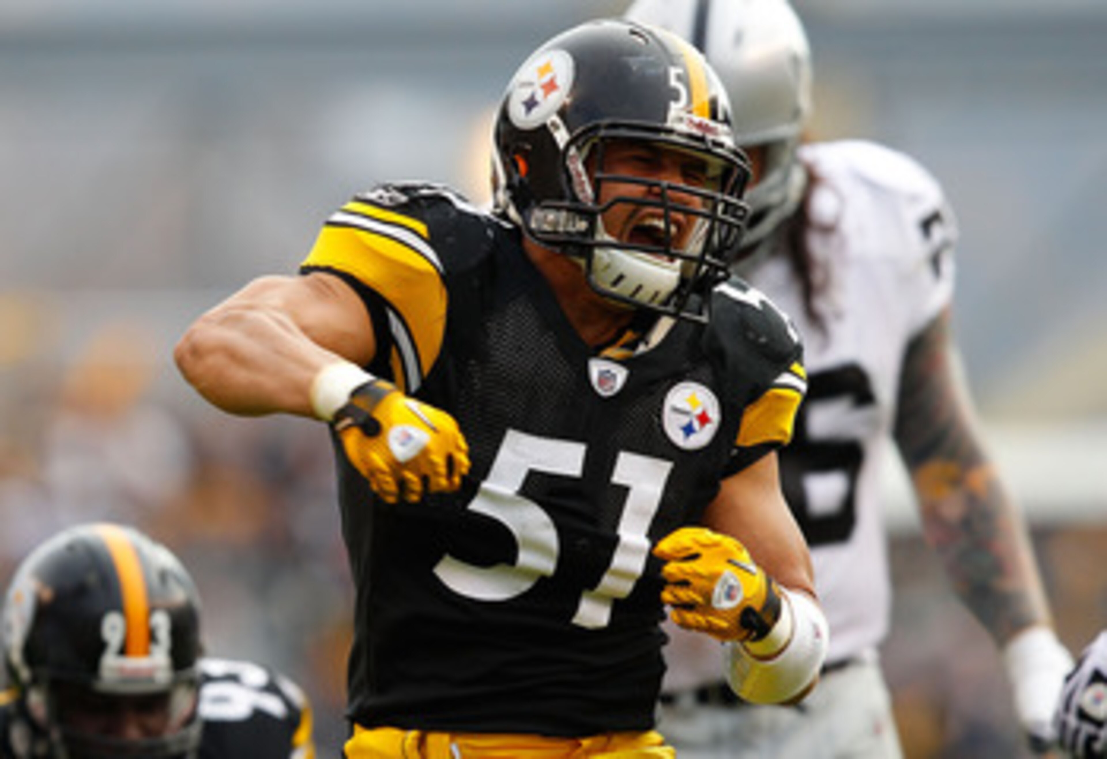 PITTSBURGH - NOVEMBER 21: James Farrior #51 of the Pittsburgh Steelers celebrates after sacking Jason Campbell #8 of the Oakland Raiders during the game on November 21, 2010 at Heinz Field in Pittsburgh, Pennsylvania. (Photo by Jared Wickerham/Getty Ima PITTSBURGH - NOVEMBER 21: James Farrior #51 of the Pittsburgh Steelers celebrates after sacking Jason Campbell #8 of the Oakland Raiders during the game on November 21, 2010 at Heinz Field in Pittsburgh, Pennsylvania. (Photo by Jared Wickerham/Getty Ima