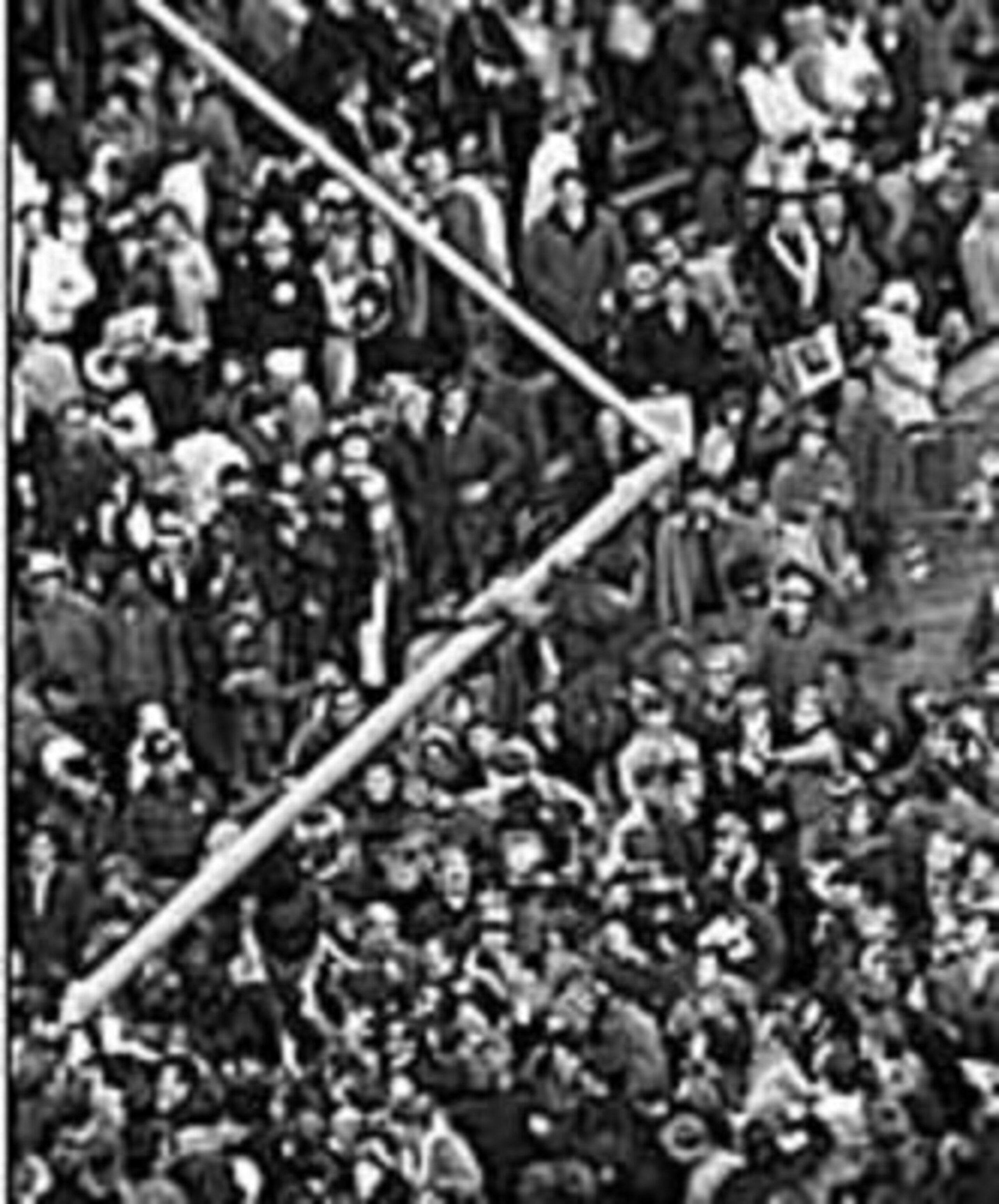 Fallen Goalposts, 1969: Michigan 24, Ohio State12 (Photo: Bentley Historical Library, University of Michigan)