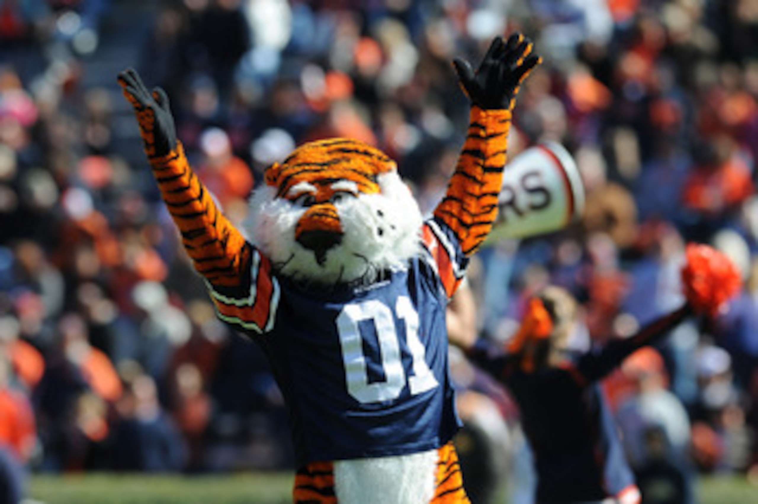 AUBURN, AL - NOVEMBER 06:  The mascot of the Auburn Tigers leads cheers before play against the Chattanooga Mocs November 6, 2010 at Jordan-Hare Stadium in Auburn, Alabama.  (Photo by Al Messerschmidt/Getty Images)