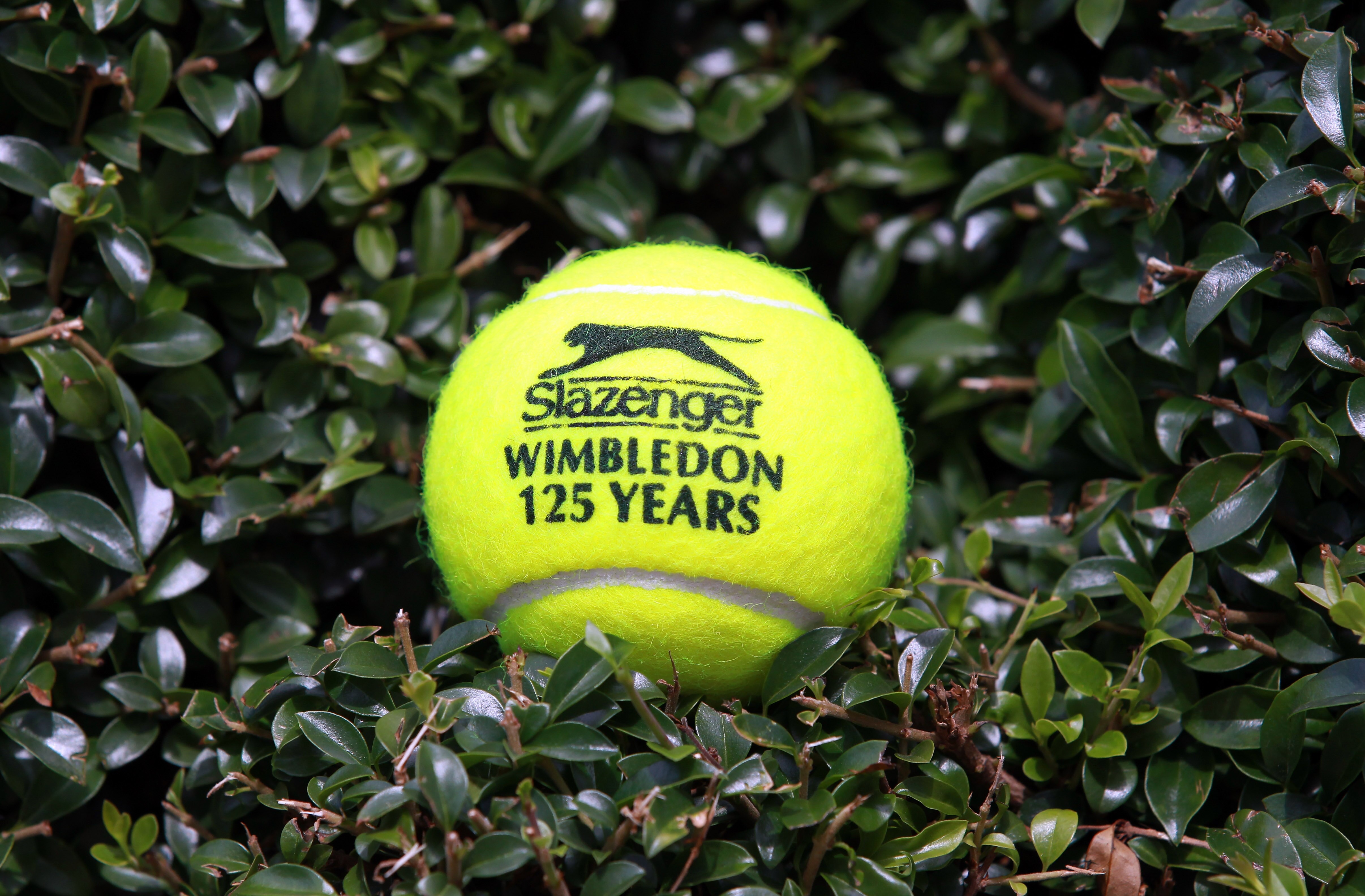 WIMBLEDON, ENGLAND - JUNE 19:  A tennis ball is seen at the All England Lawn Tennis and Croquet Club ahead of the Wimbledon Lawn Tennis Championships on June 19, 2011 in London, England. The Championships, which are celebrating their 125th anniversary thi