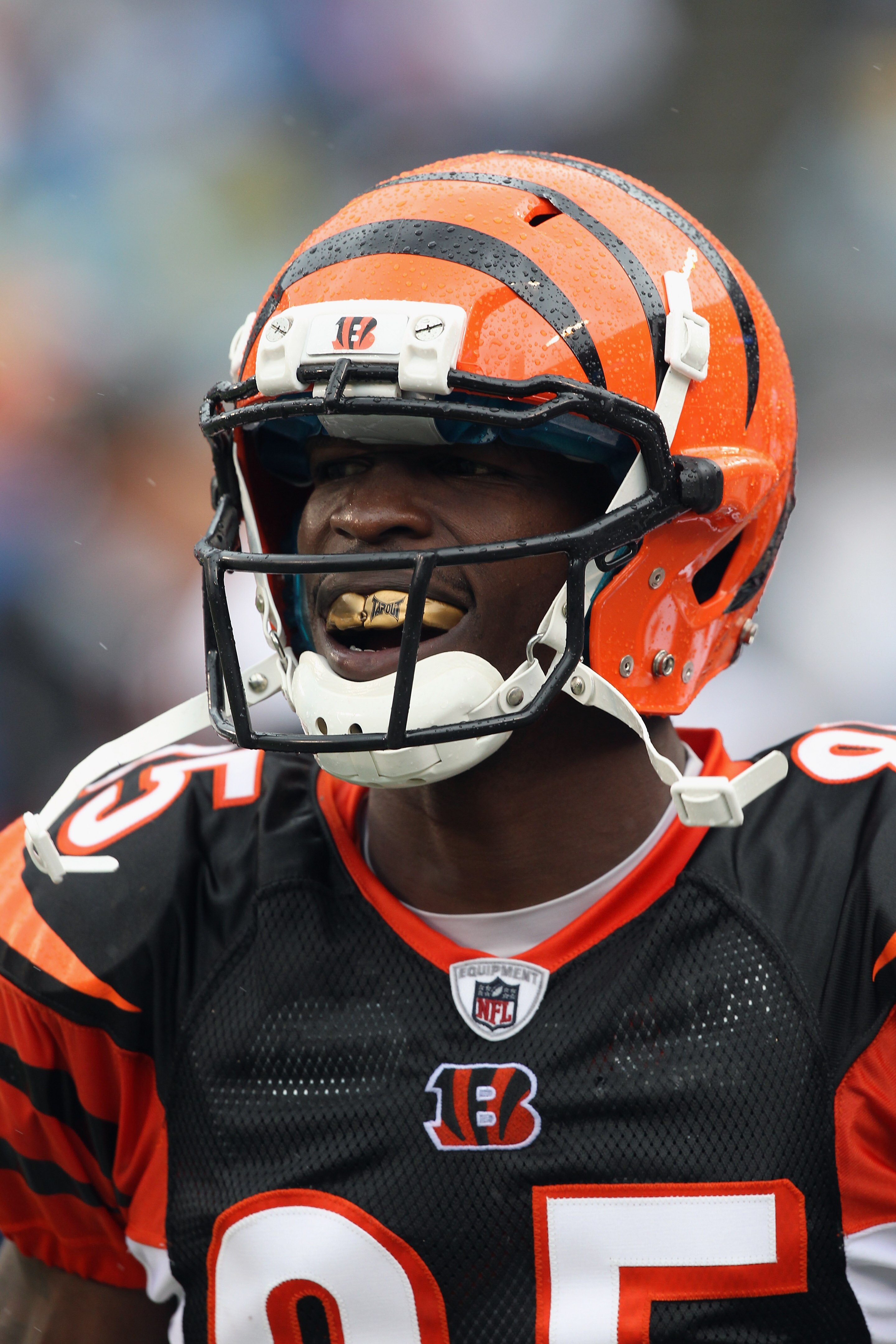CHARLOTTE, NC - SEPTEMBER 26:  Chad Ochocinco #85 of the Cincinnati Bengals reacts against the Carolina Panthers during their game at Bank of America Stadium on September 26, 2010 in Charlotte, North Carolina.  (Photo by Streeter Lecka/Getty Images)