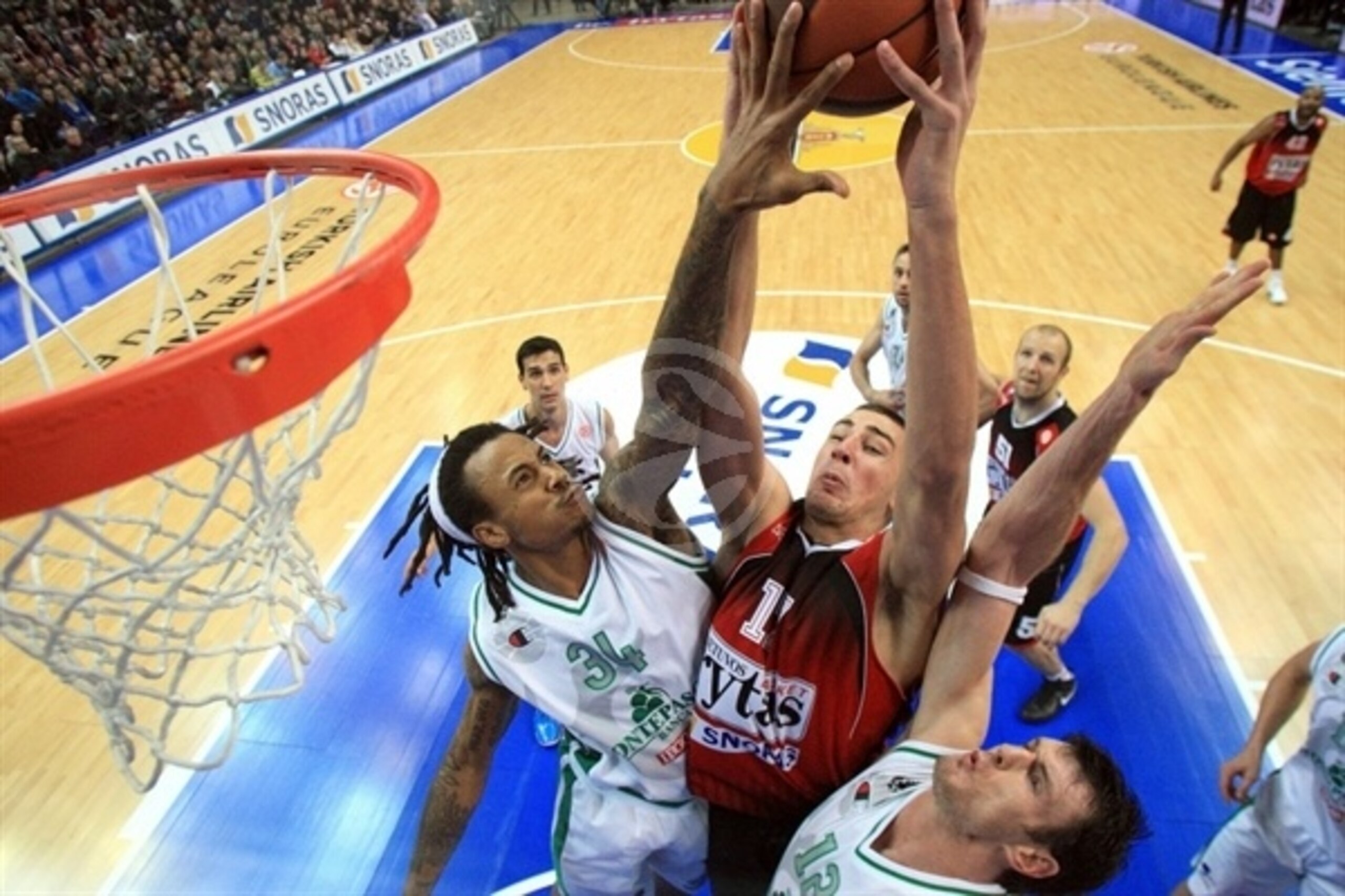 Picture used courtesy of EuroLeague.net