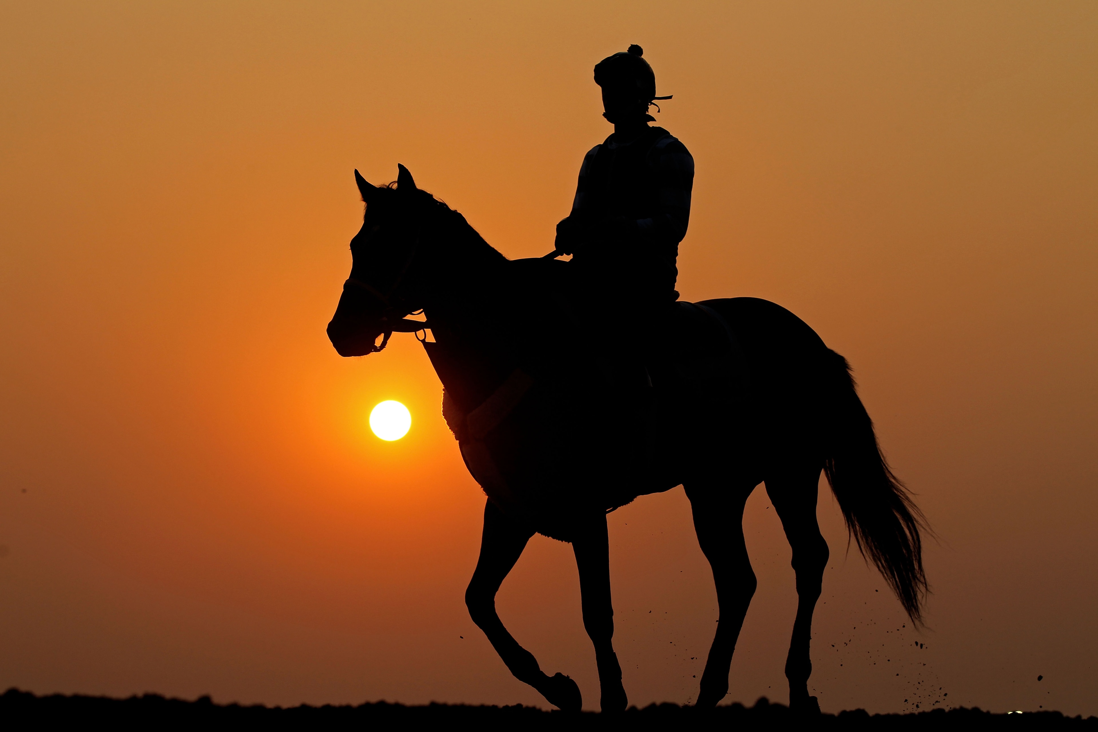 ELMONT, NY - JUNE 09:  A horse and exercise rider work on the track during a morning training session in preparation for The Belmont Stakes  at Belmont Park on June 9, 2011 in Elmont, New York.  (Photo by Al Bello/Getty Images)