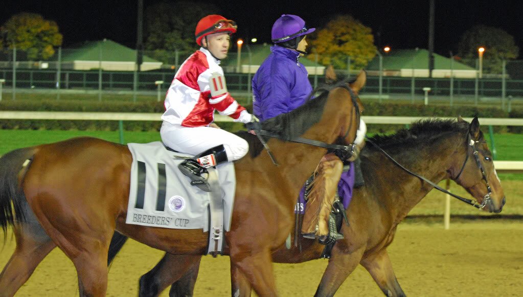 2010 Breeder's Cup Laides Classic Photo: Melissa Bauer-Herzog
