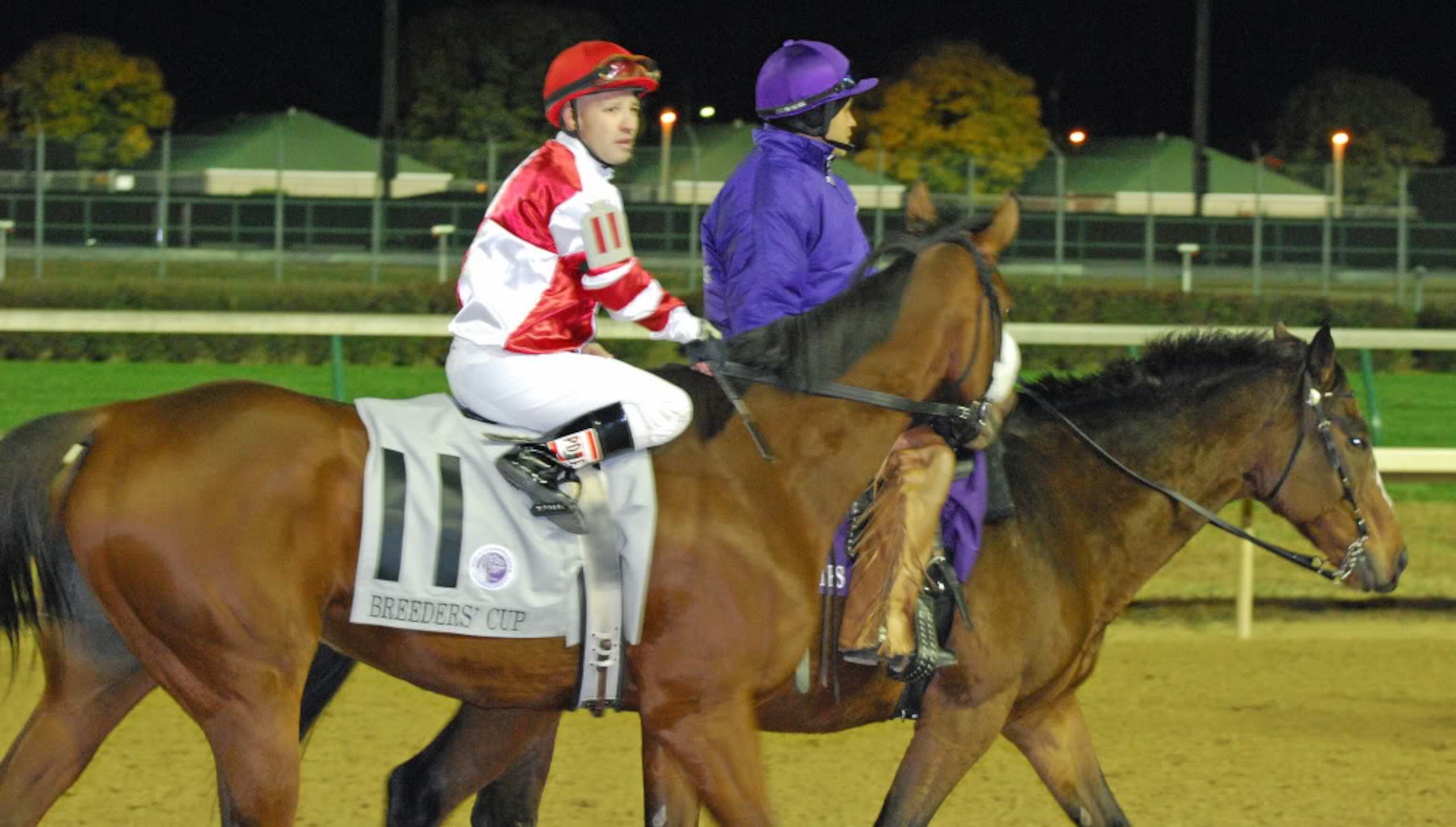 2010 Breeder's Cup Laides Classic Photo: Melissa Bauer-Herzog